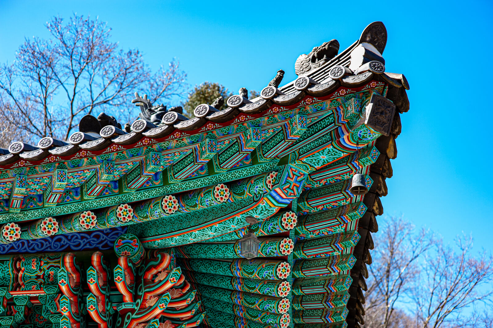 Nikon D700 sample photo