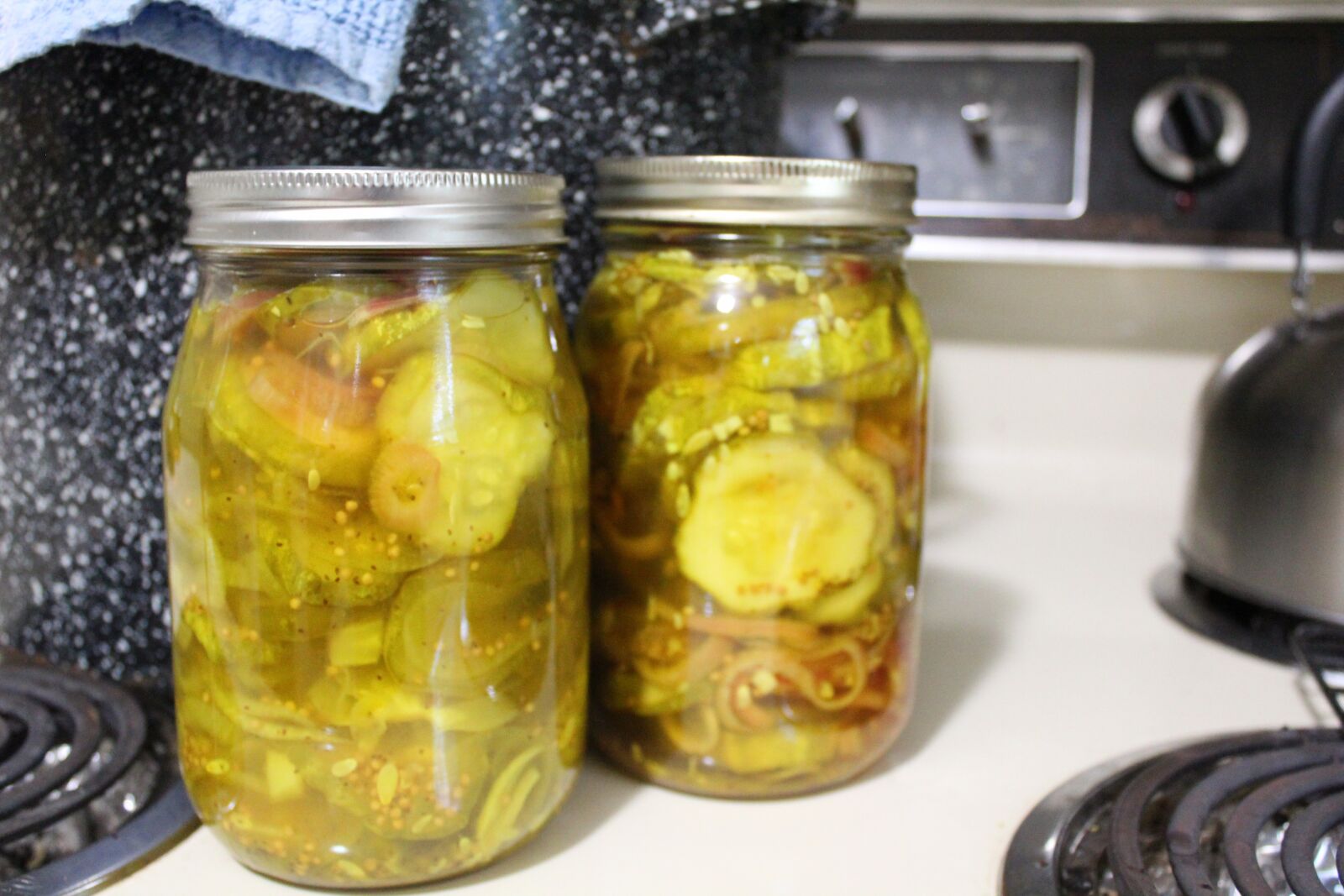 Canon EOS 1300D (EOS Rebel T6 / EOS Kiss X80) sample photo. Pickles, canning, preserves photography