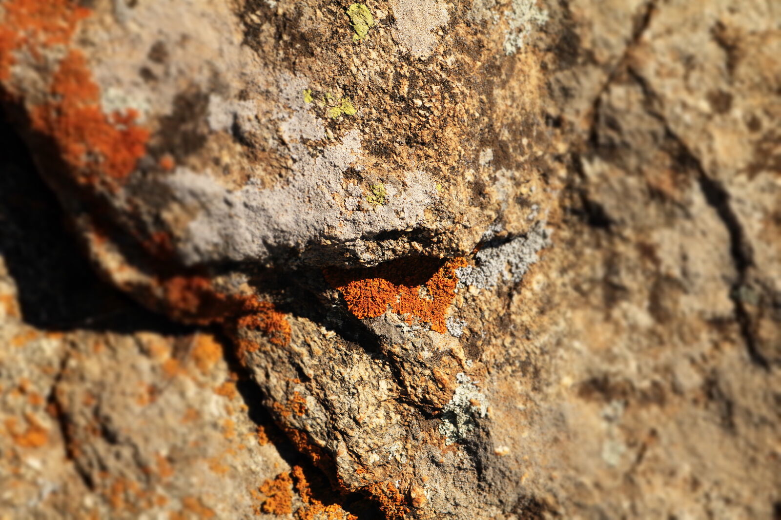 Canon EOS 750D (EOS Rebel T6i / EOS Kiss X8i) sample photo. Stone photography