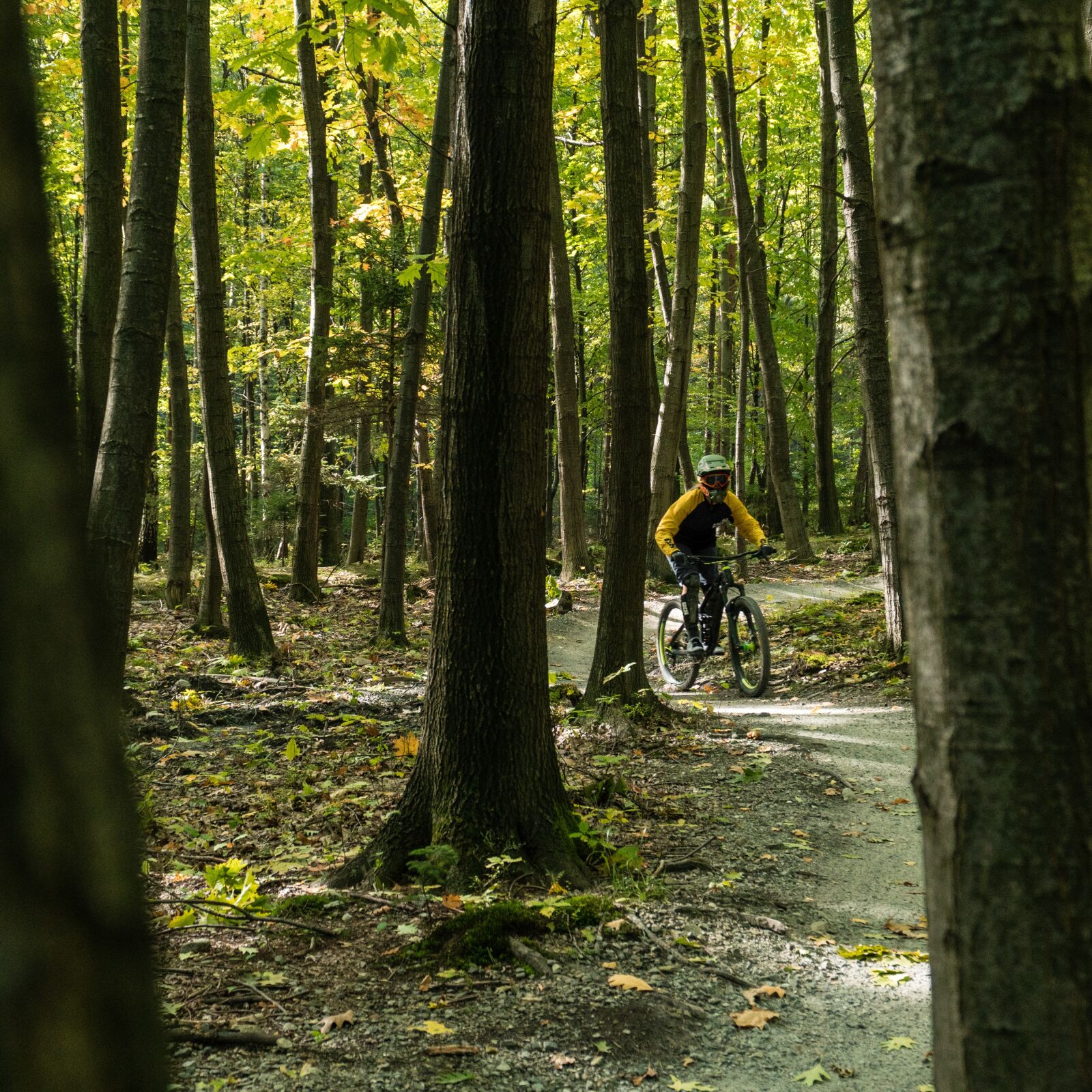 Sony a6300 + Sony E PZ 18-105mm F4 G OSS sample photo. Sport, bike, enduro photography