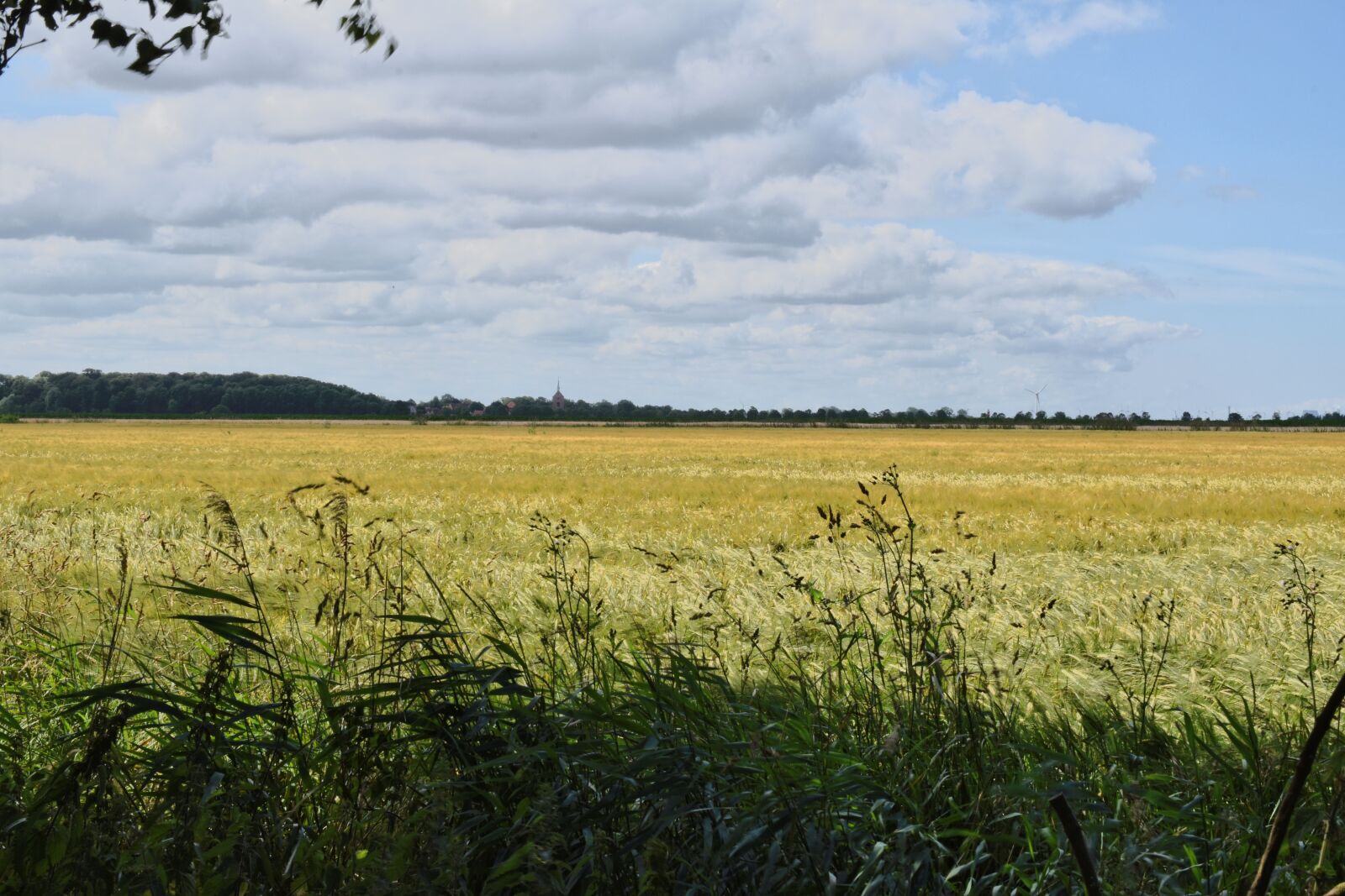 Nikon D5600 sample photo. East frisia, field, sky photography