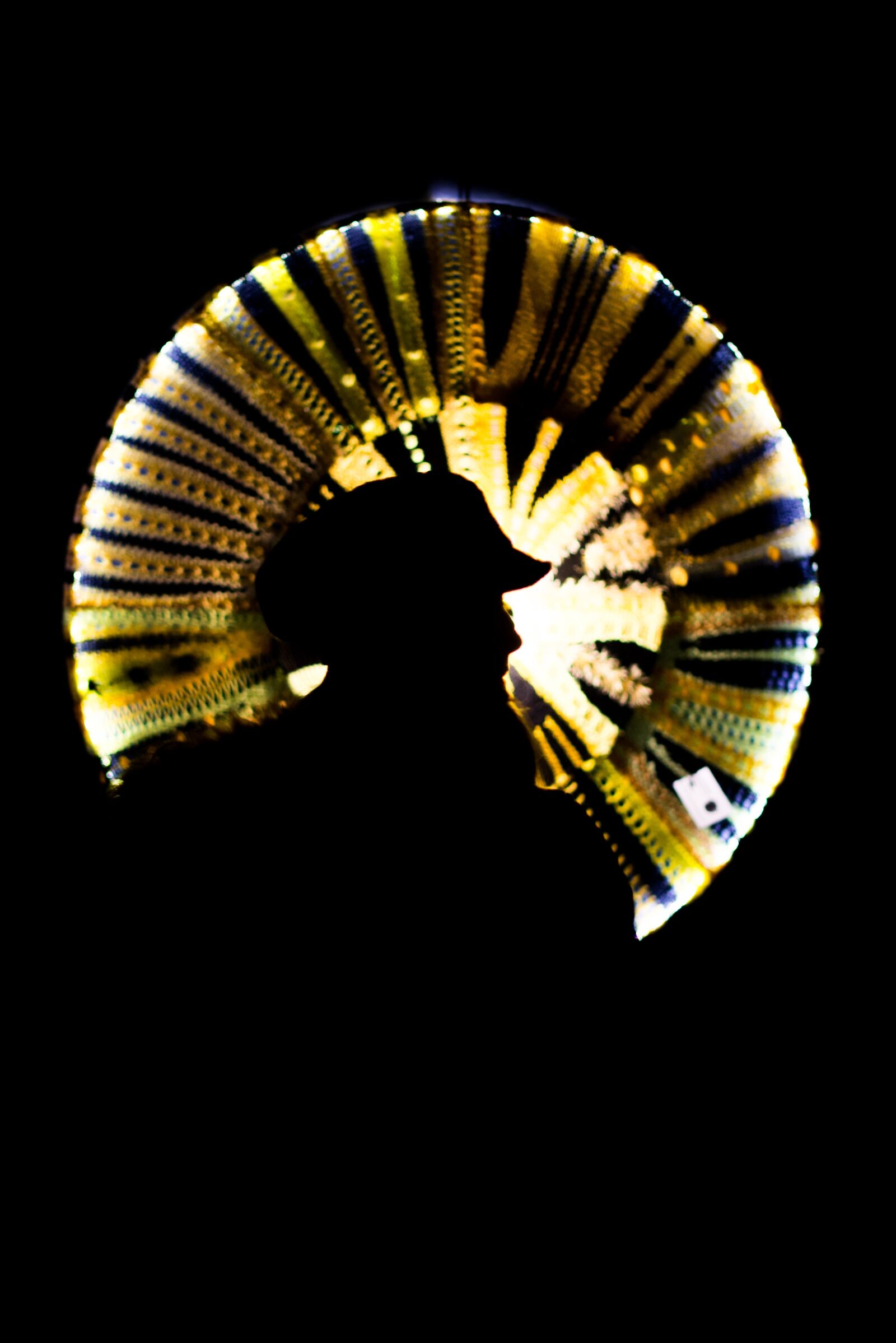Nikon D600 sample photo. Silhouette, gold, man photography