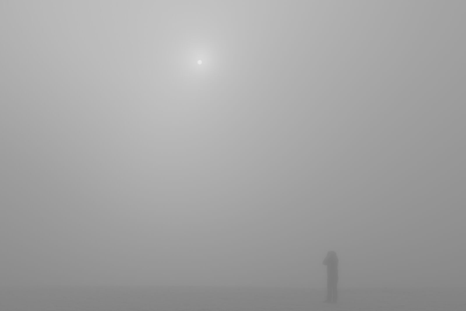 Canon EOS 7D sample photo. Fog, foggy, sun photography