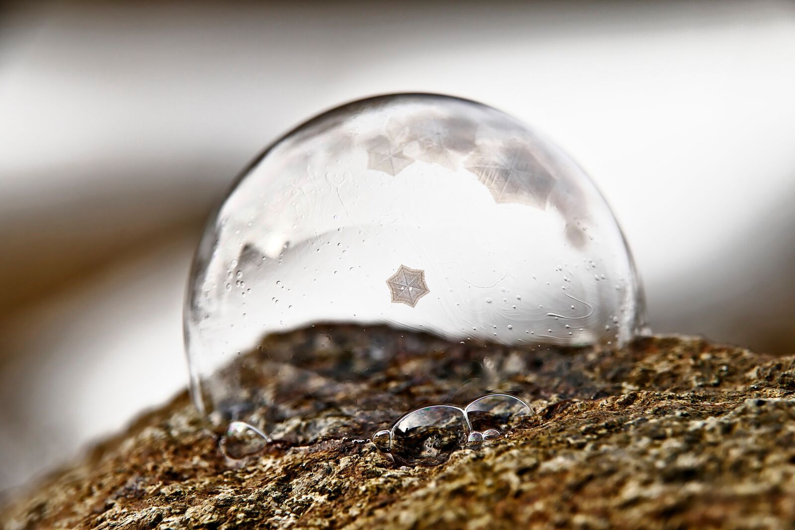 Panasonic Lumix DMC-FZ1000 sample photo. Soap bubble, frozen, winter photography