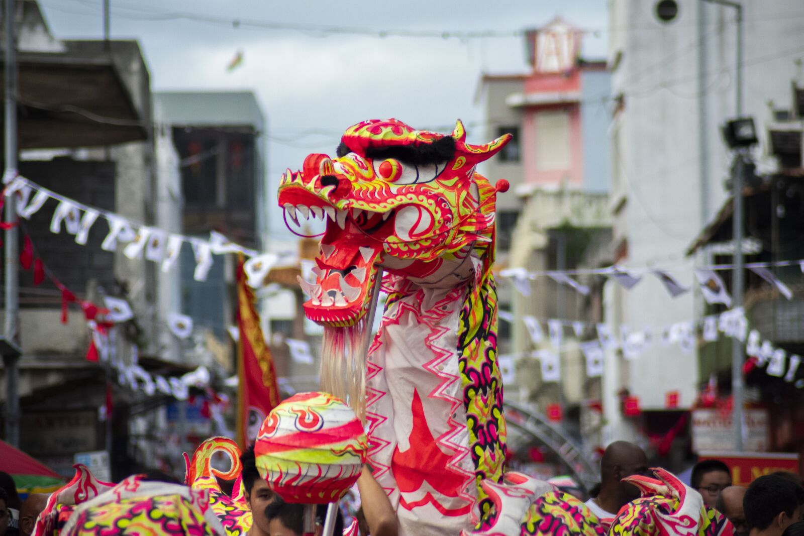 Nikon D3400 sample photo. Chinese festival, mauritius, dragon photography