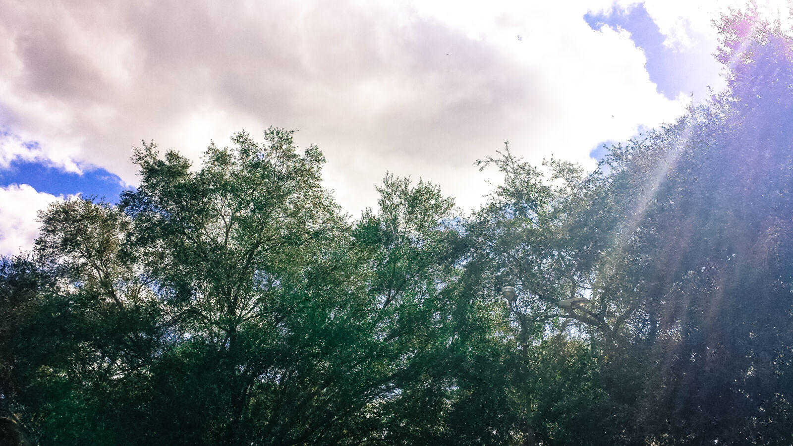 Samsung Galaxy S4 sample photo. Afternoon, blue, skies, clouds photography