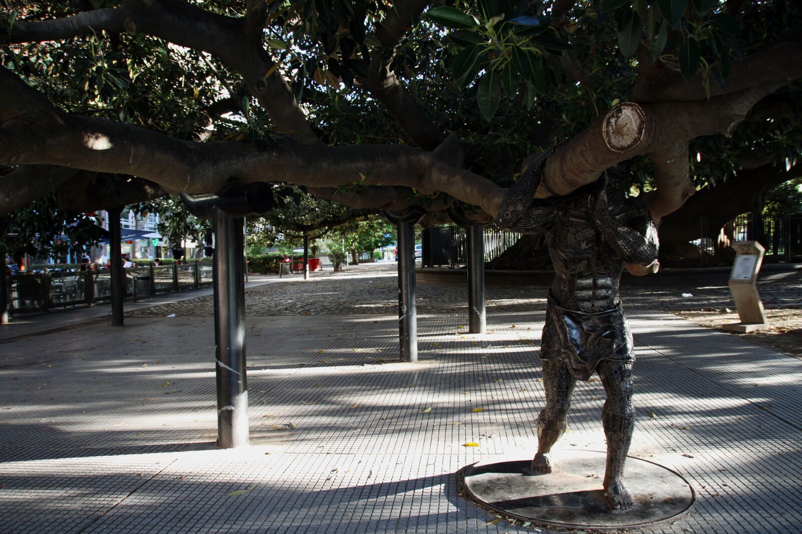 Canon EOS 7D sample photo. Tree, giant, buenos aires photography
