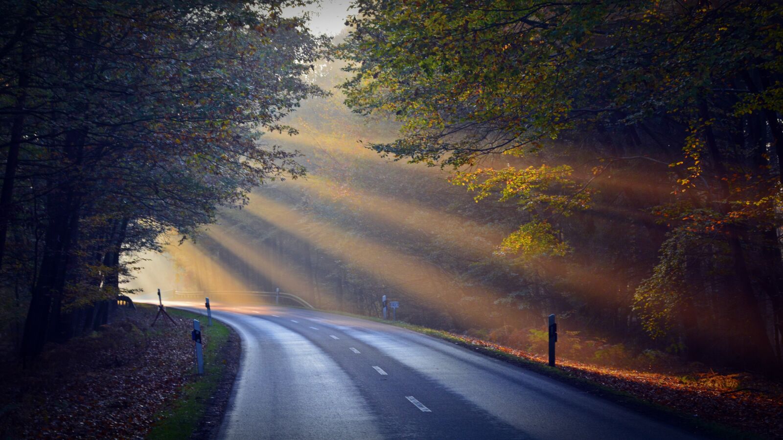 Nikon D5200 sample photo. Sunbeam, forest, road photography