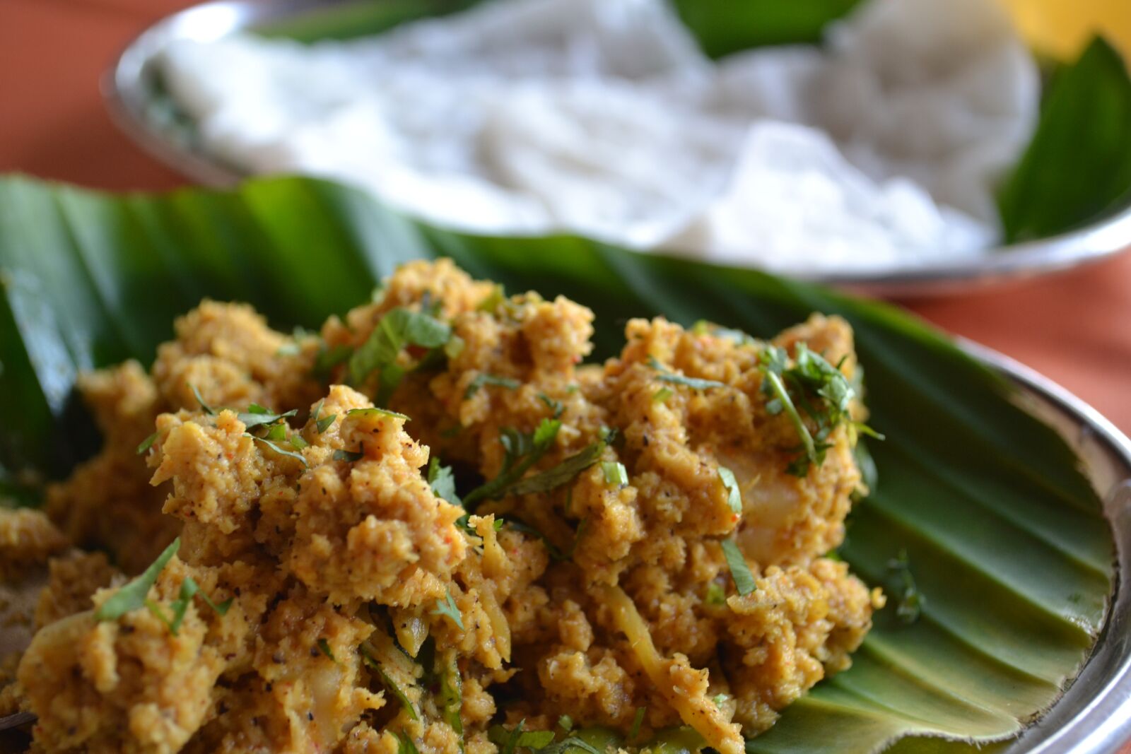 Nikon D3100 sample photo. India, asia, chicken curry photography