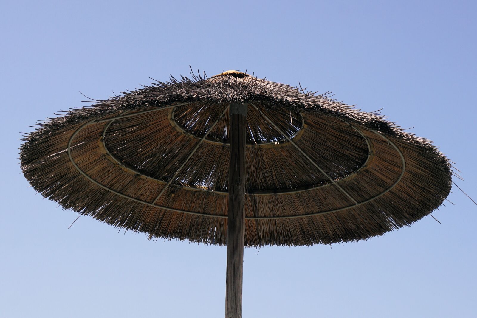 Sony a6000 sample photo. Screen, parasol, protection photography