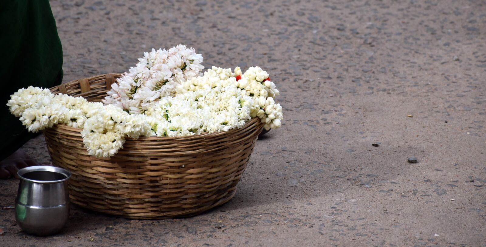 Nikon D5500 sample photo. Jasmine, madurai, flower photography