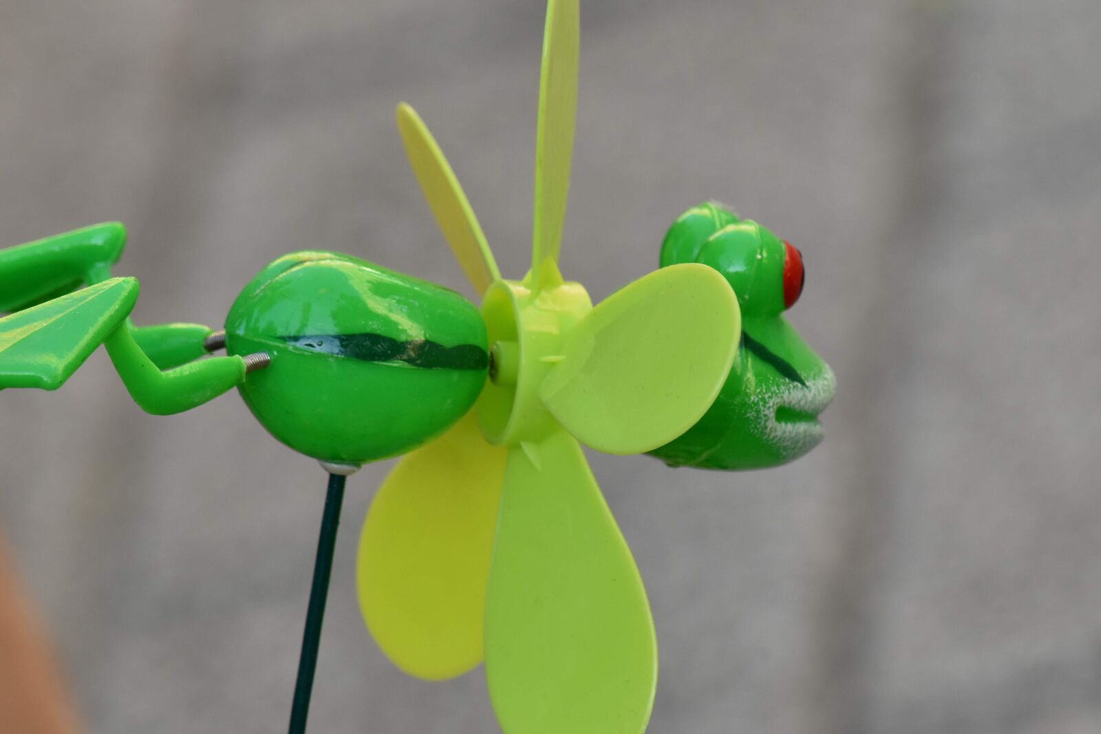Nikon D5500 sample photo. Detail, frog, object, plastic photography