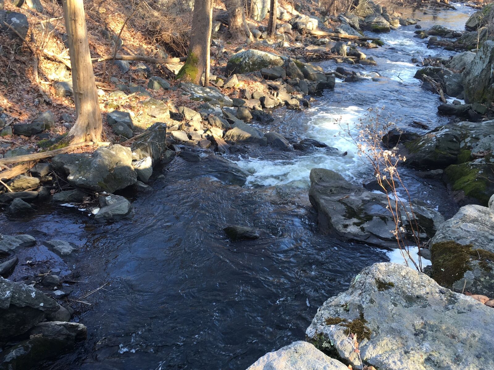 iPhone SE back camera 4.15mm f/2.2 sample photo. Stream, rockefeller, whitewater photography
