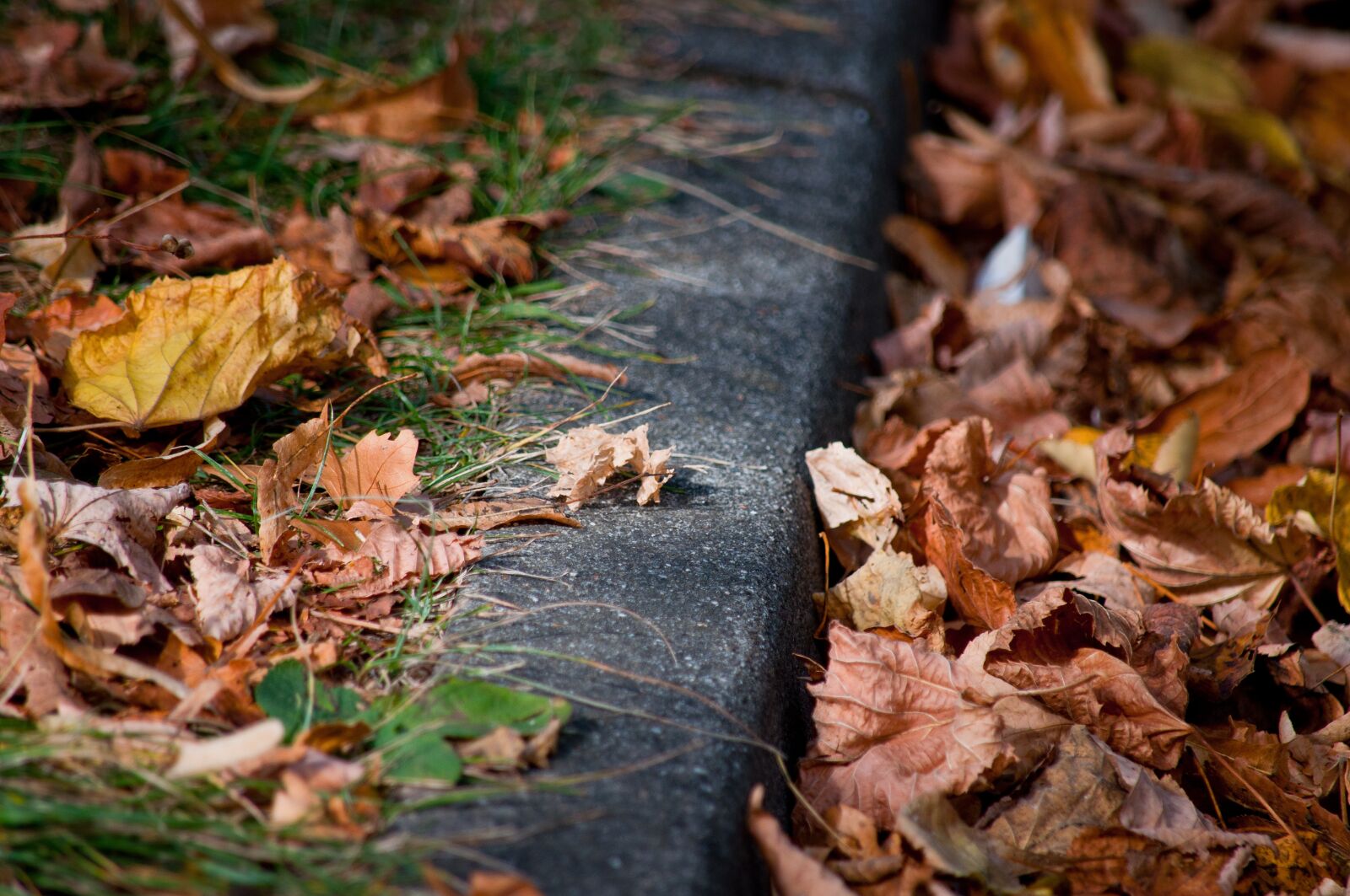 Nikon D90 sample photo. Curb, road, sidewalk photography