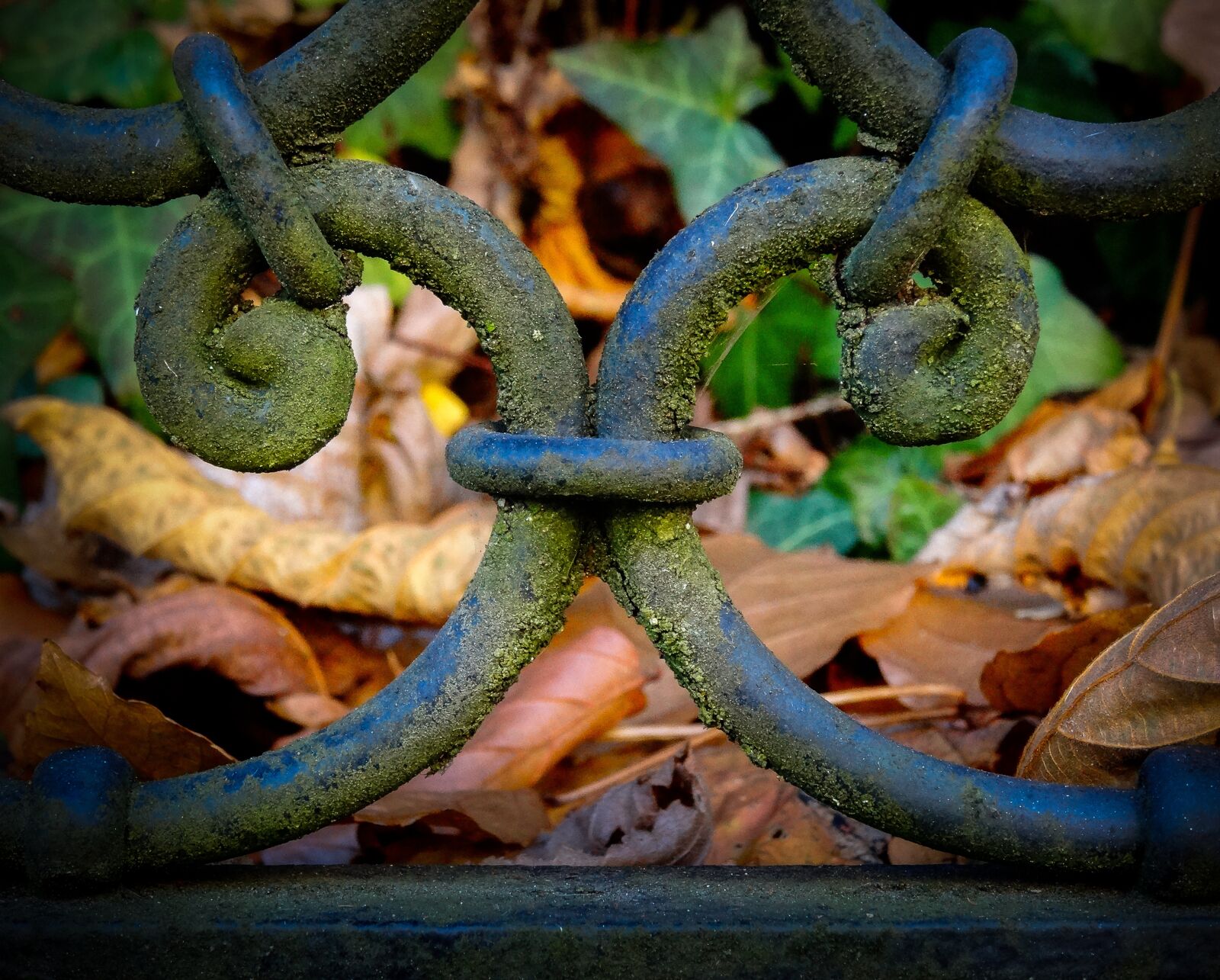 Sony Cyber-shot DSC-HX50V sample photo. Wrought iron, iron gate photography