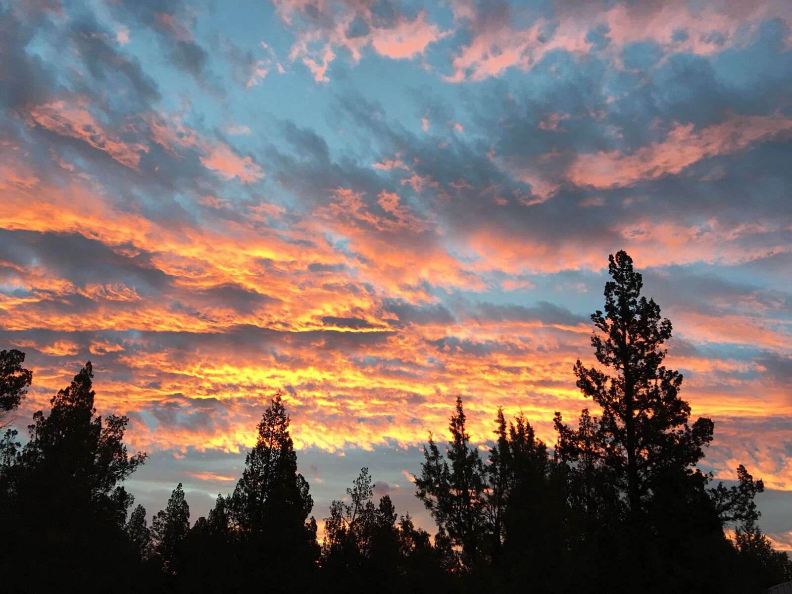 Apple iPhone 6s Plus sample photo. Sunrise, sky, cloud photography