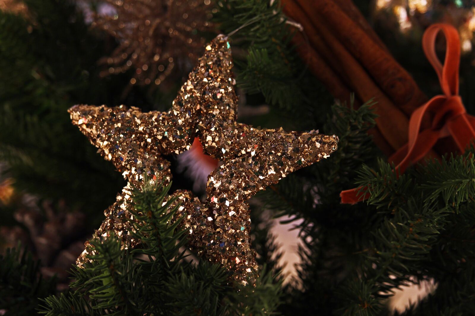 Canon EF-S 55-250mm F4-5.6 IS STM sample photo. Star, poinsettia, christmas decorations photography
