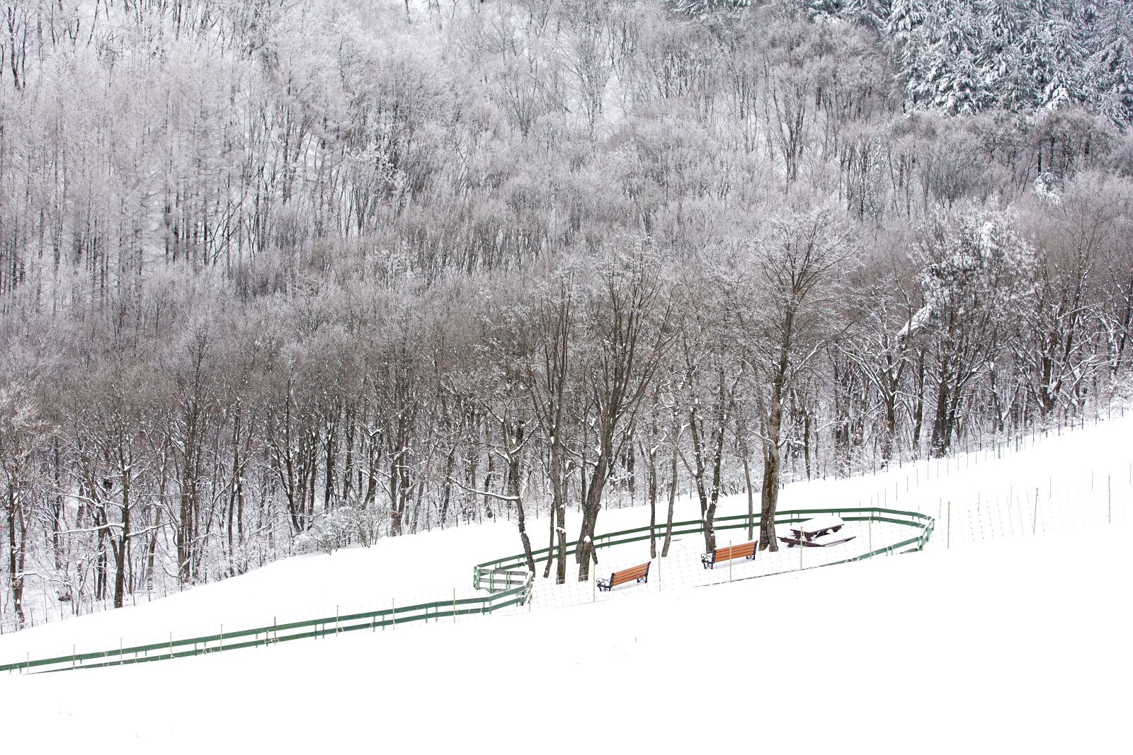 Canon EF 70-200mm F2.8L USM sample photo. Snow, white, winter photography