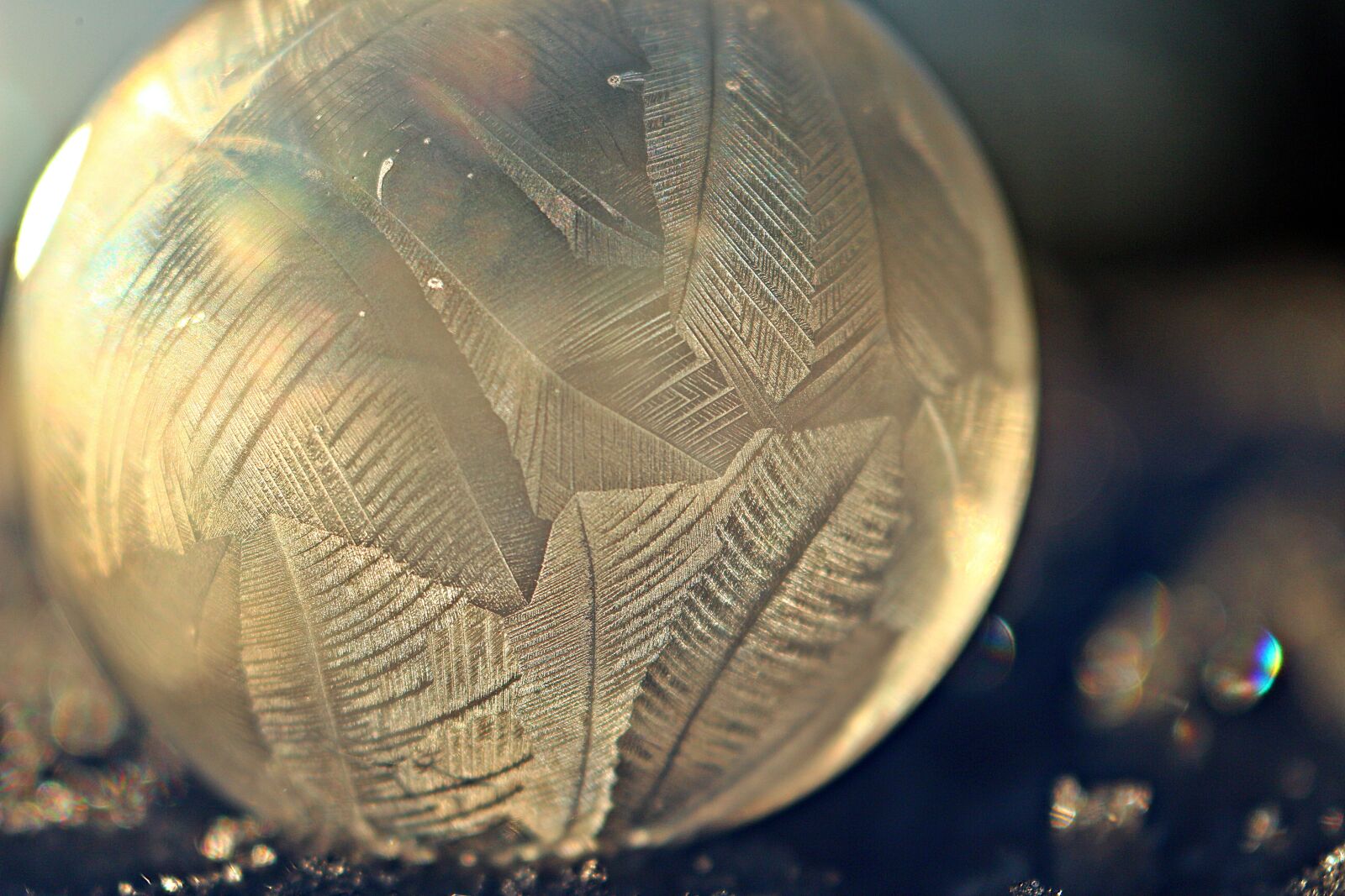 Canon EOS 100D (EOS Rebel SL1 / EOS Kiss X7) sample photo. Eiskristalle, frost, ice photography