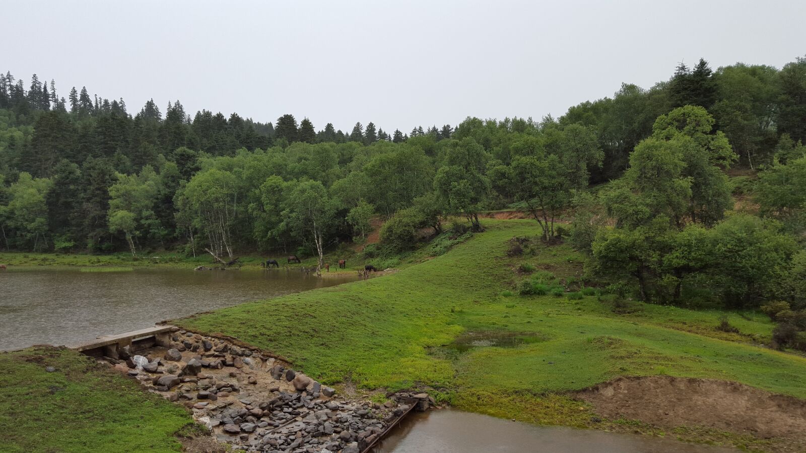 Samsung Galaxy S6 sample photo. Pirmeval forest, plateau, lake photography