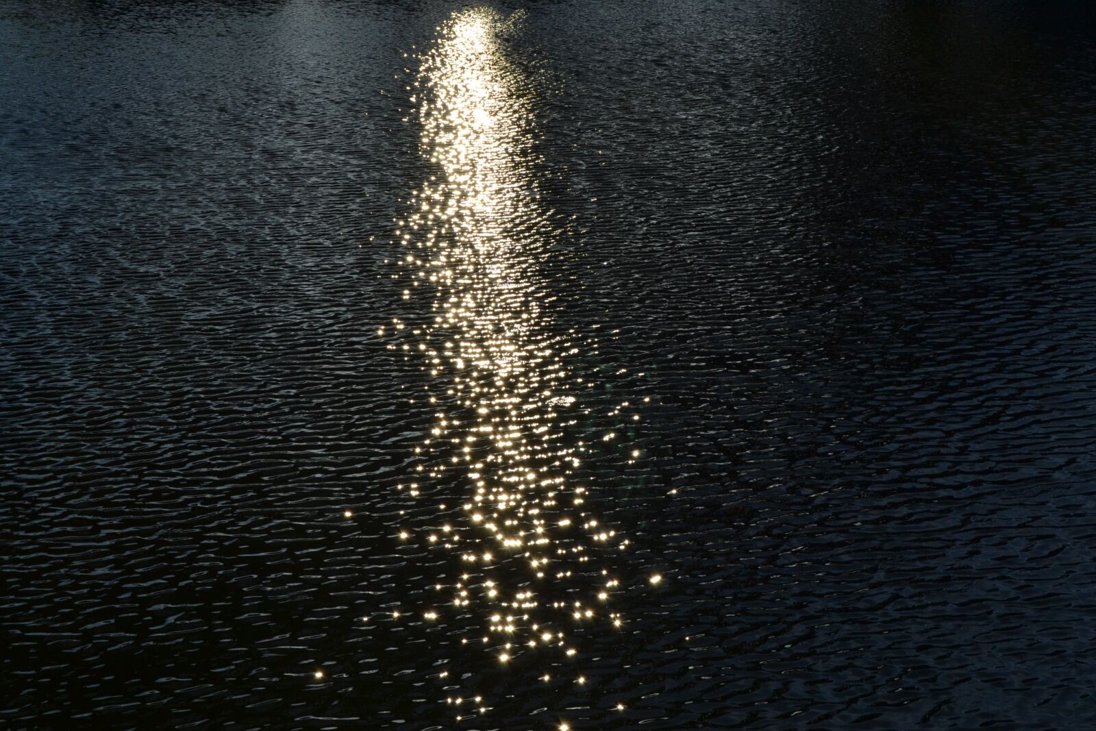 Nikon D3100 sample photo. Water, reflection, lake photography