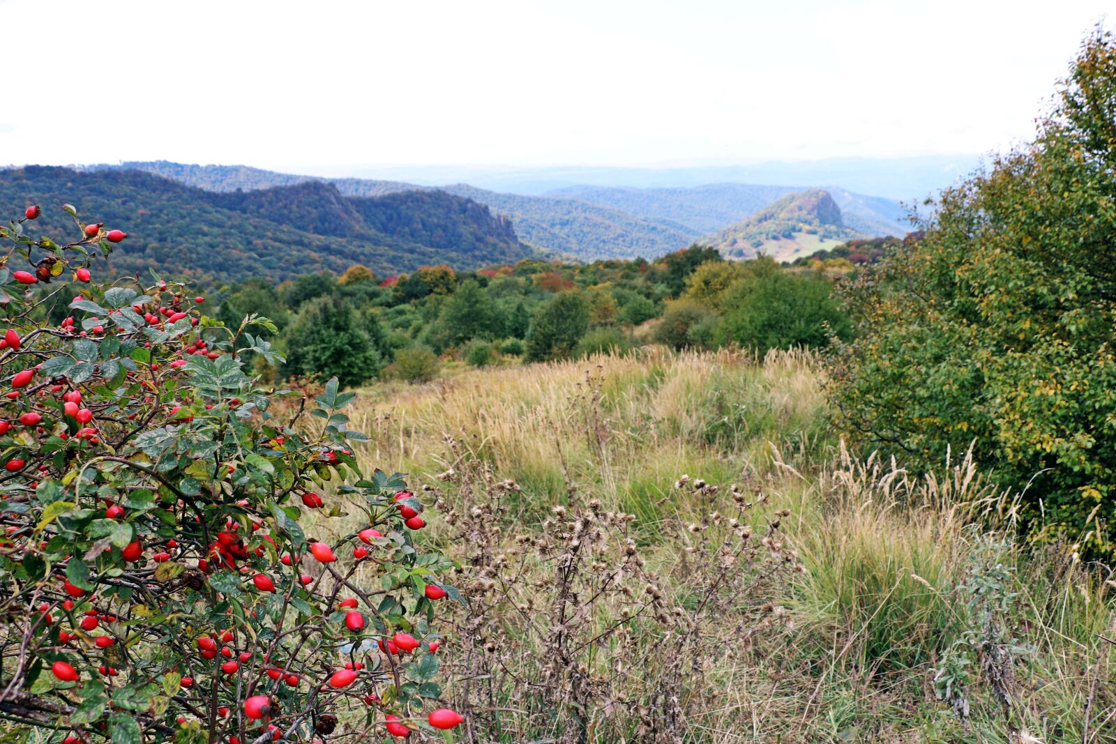Canon EOS 200D (EOS Rebel SL2 / EOS Kiss X9) sample photo. Georgia, autumn, landscape photography