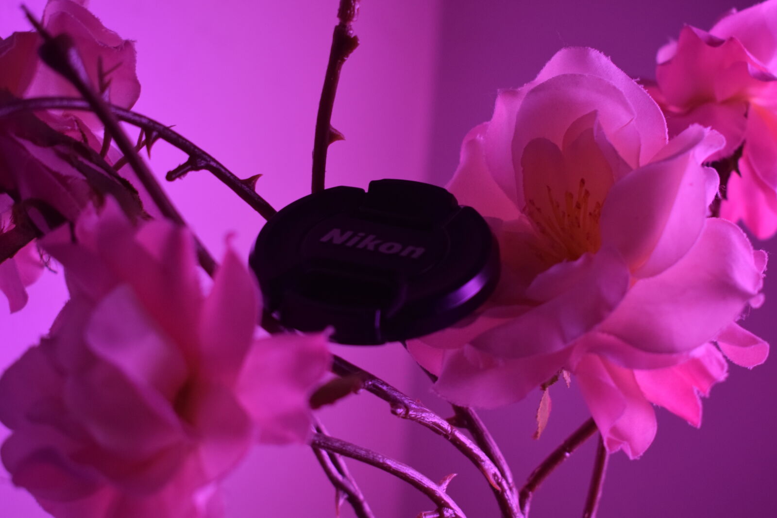 zeroseven-photography-explorecams-community