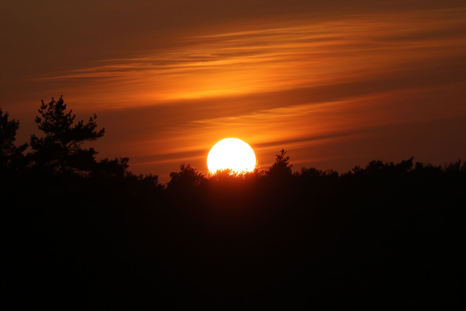 Canon EOS 750D (EOS Rebel T6i / EOS Kiss X8i) sample photo. Sunset, abendstimmung, clouds photography