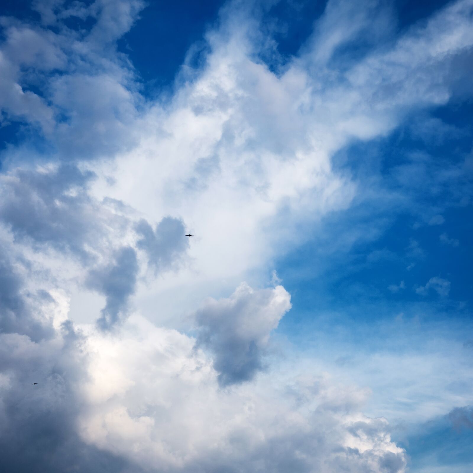 Canon EF 50mm F1.8 II sample photo. Sky, clouds, blue photography