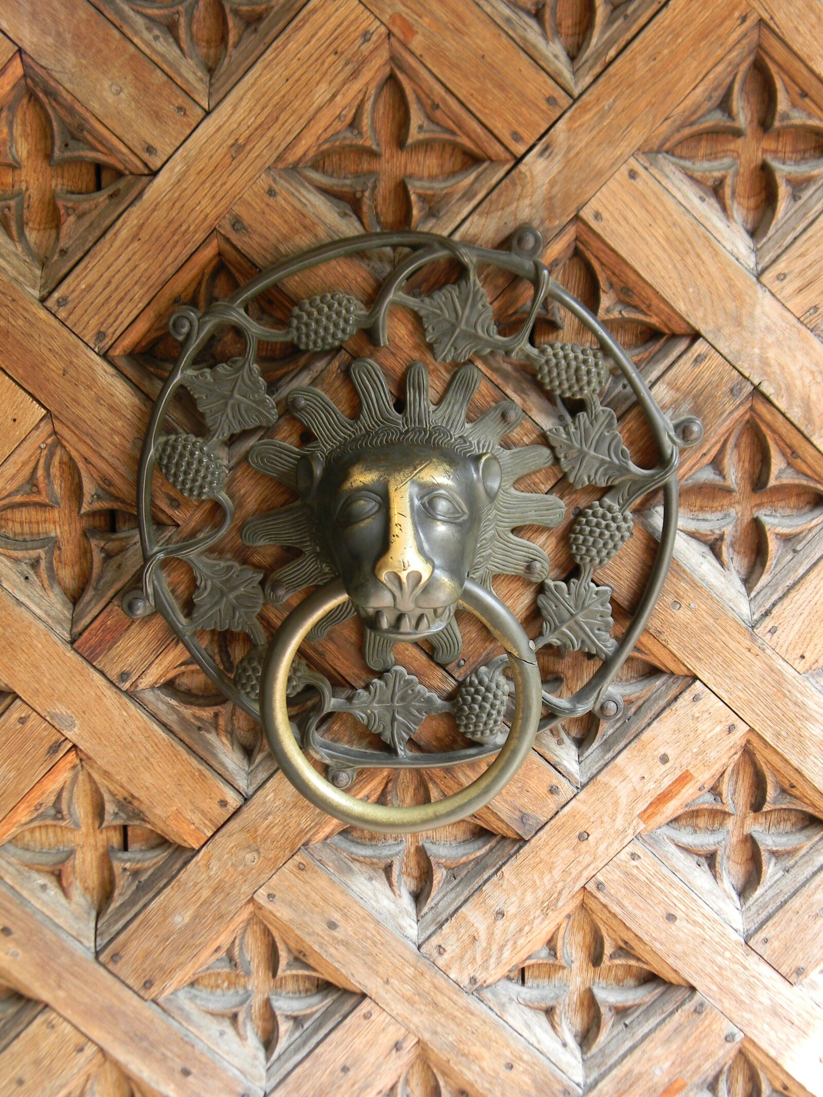 Nikon Coolpix L110 sample photo. The door, door knocker photography