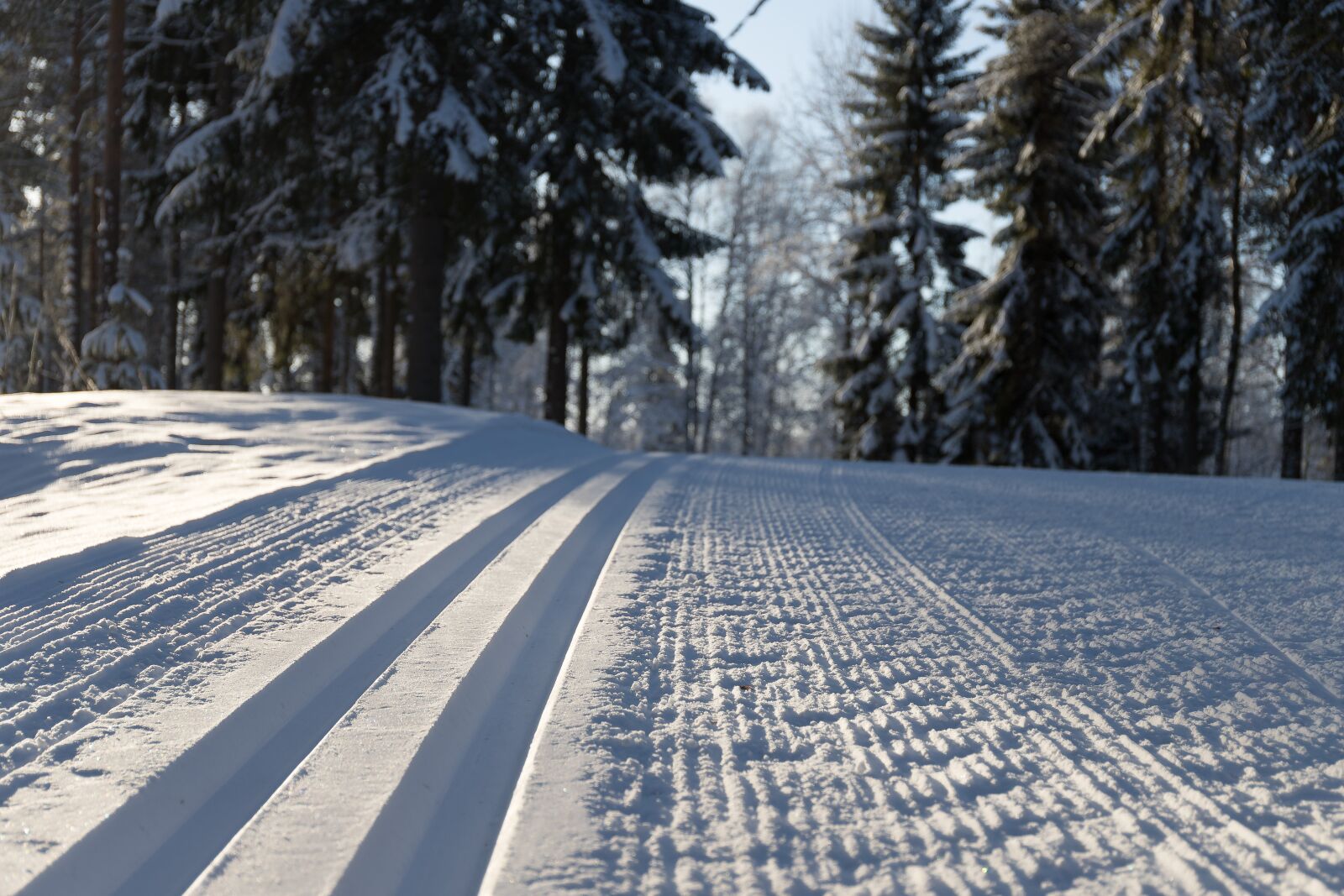 Canon EF 24-70mm F4L IS USM sample photo. Snow, wood, winter photography