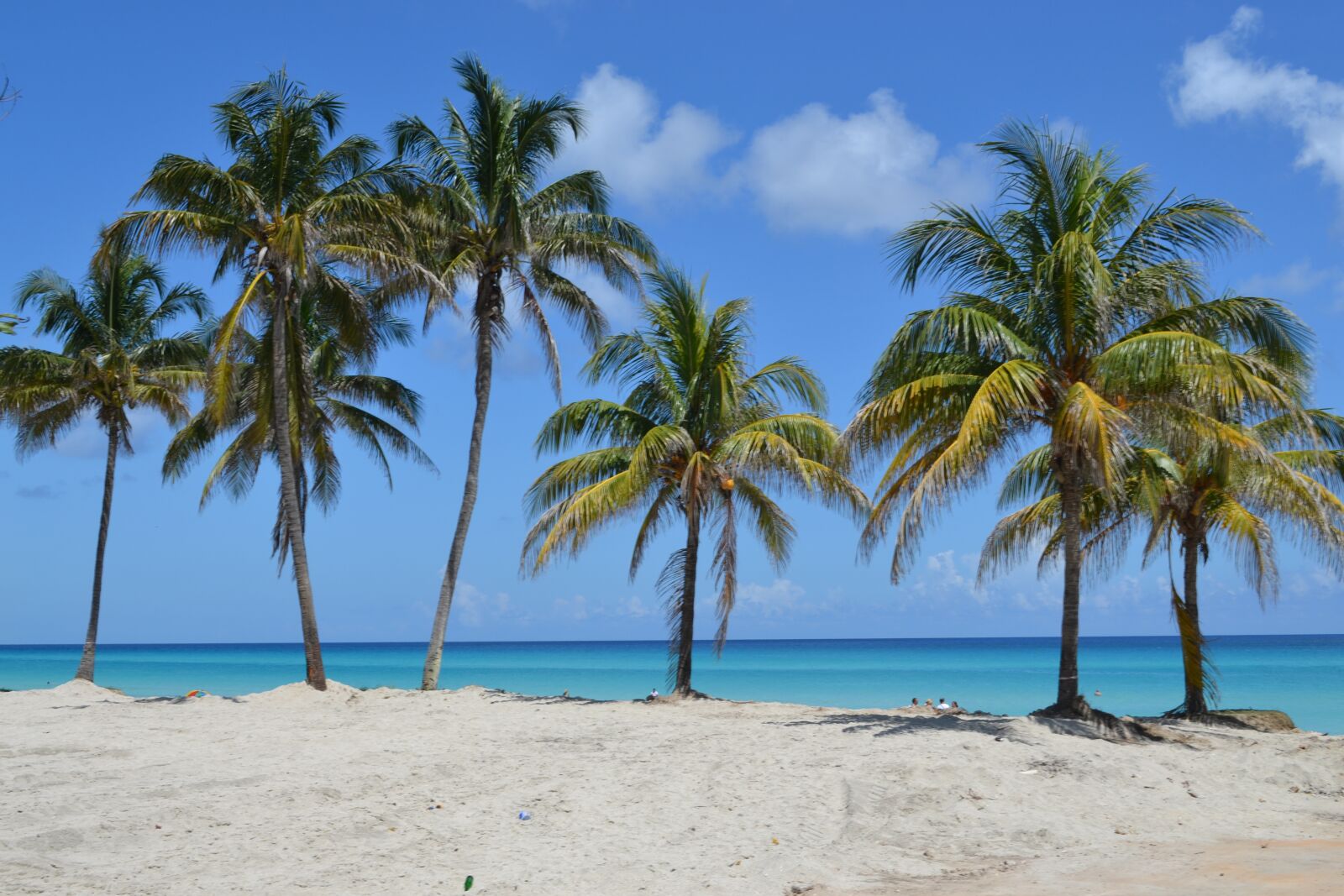 Nikon D3100 sample photo. Blue sky, white beach photography