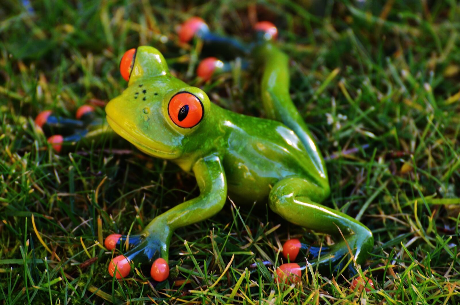 Nikon D3200 sample photo. Frog, meadow, figure photography
