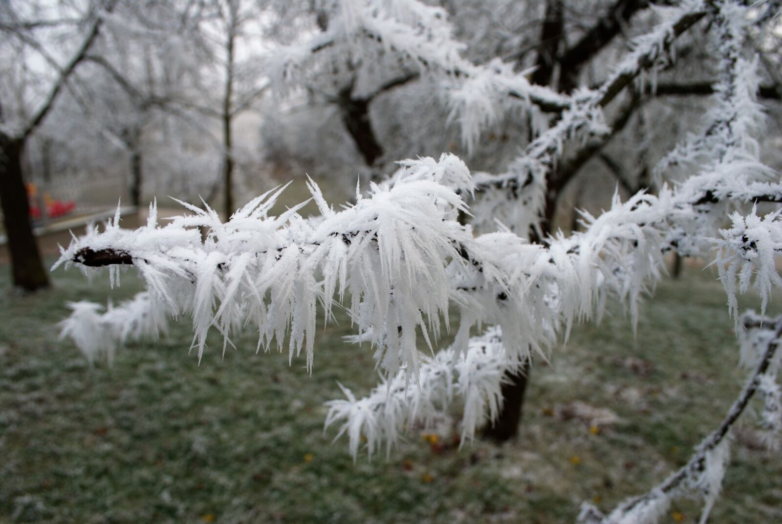 Nikon D60 sample photo. Winter, wonderland, snow photography