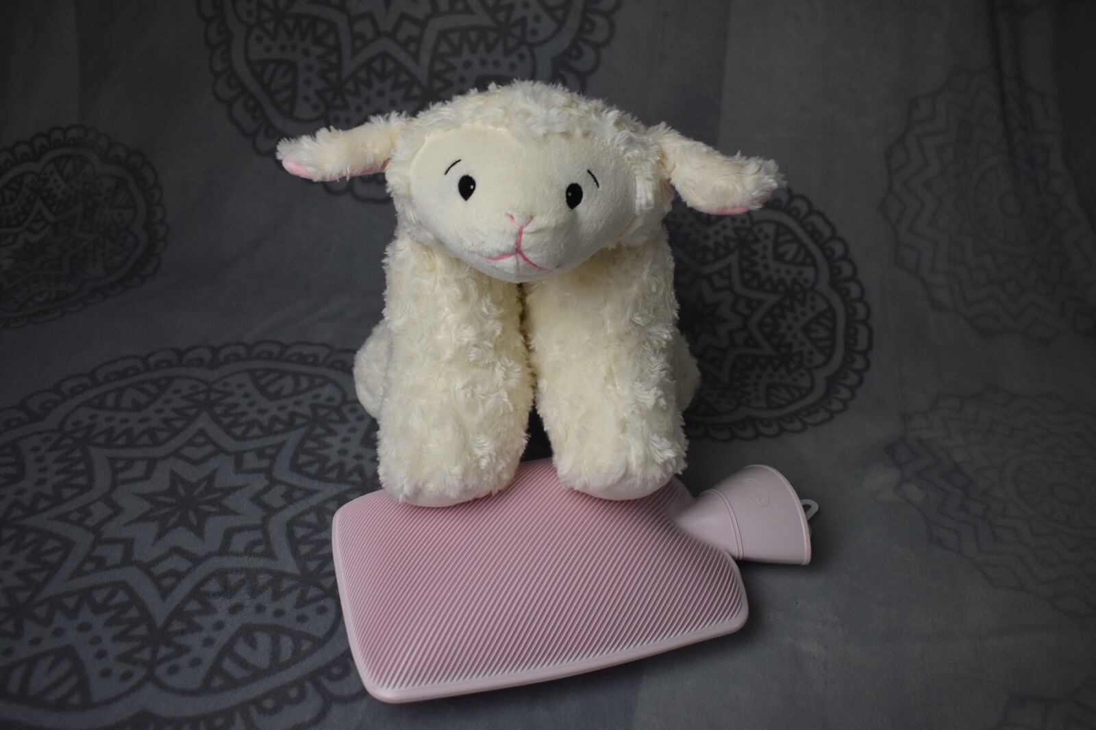 Nikon D3500 sample photo. Sheep, teddy bear, hot photography