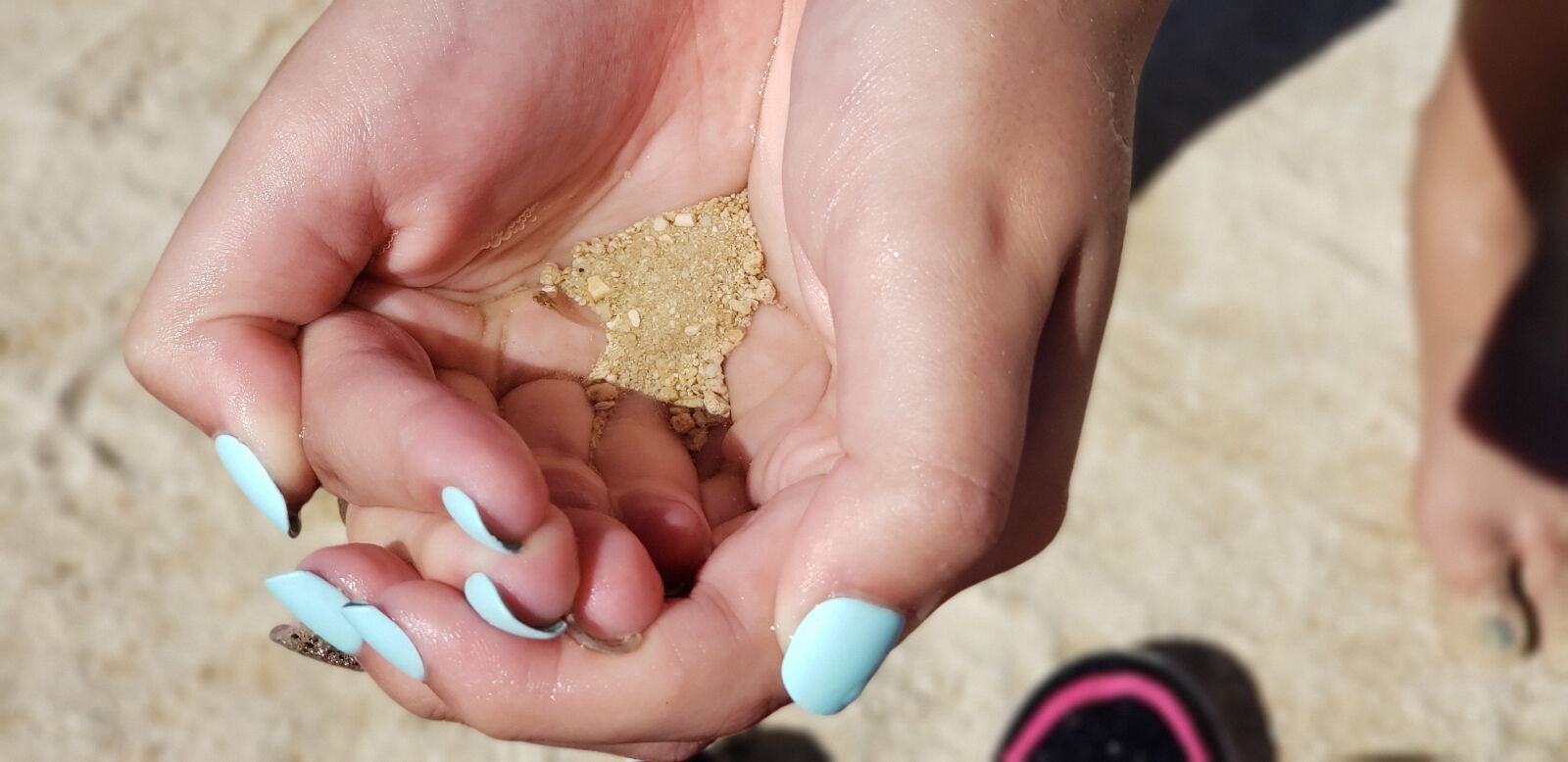 Samsung Galaxy Note9 sample photo. Sand, fish, beach photography