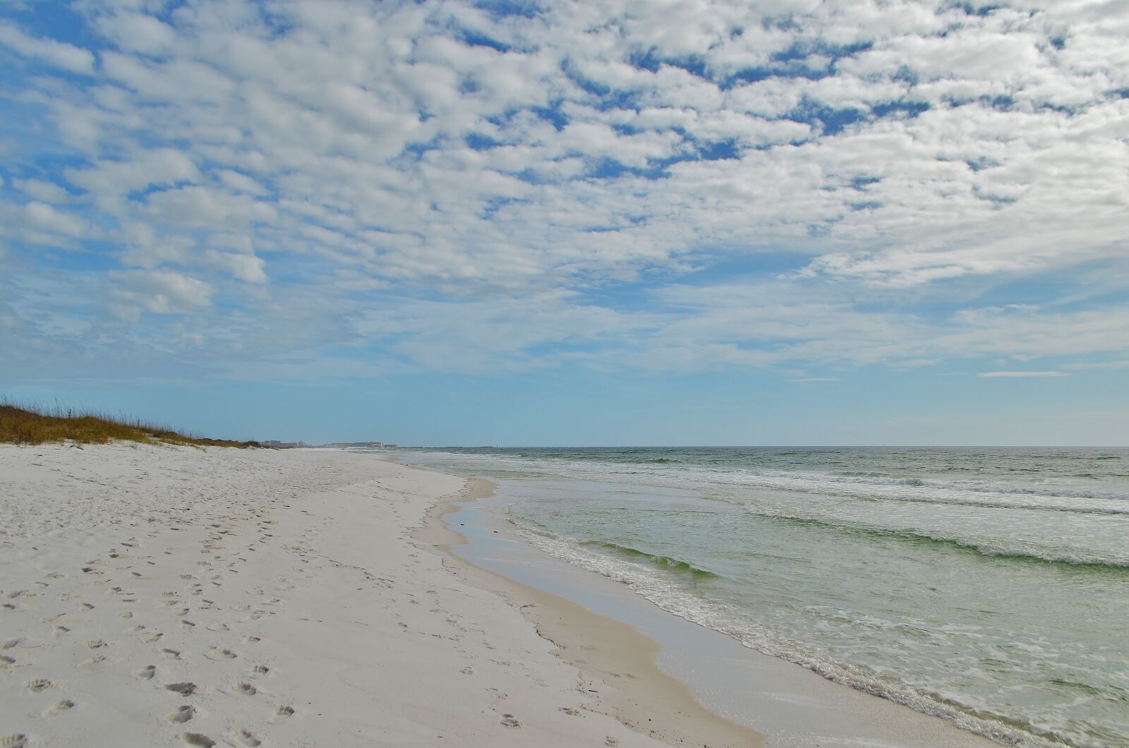 Nikon D5100 sample photo. Florida, usa, gulf coast photography