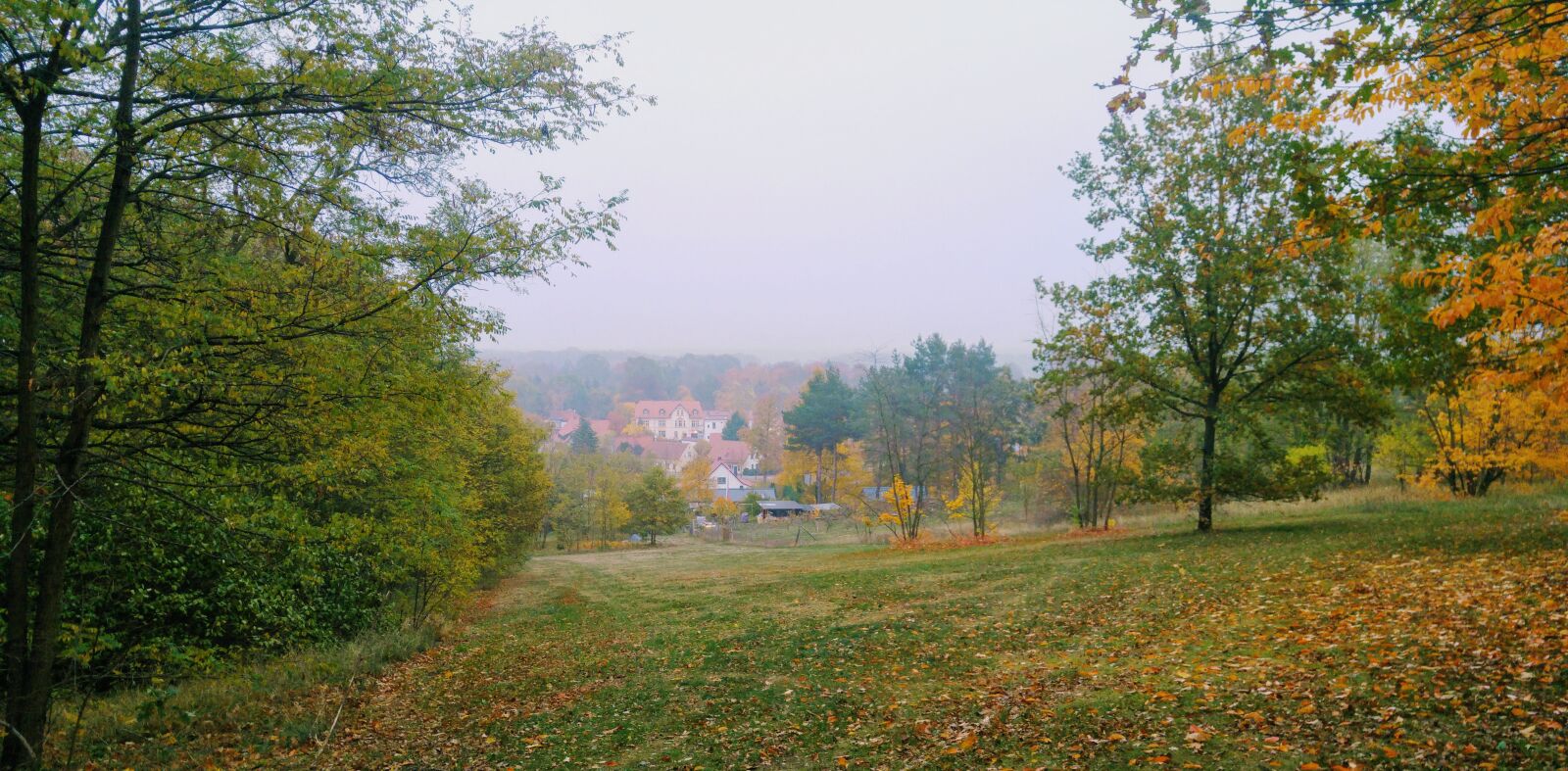 LG G4 sample photo. Germany, brandenburg, baruth photography