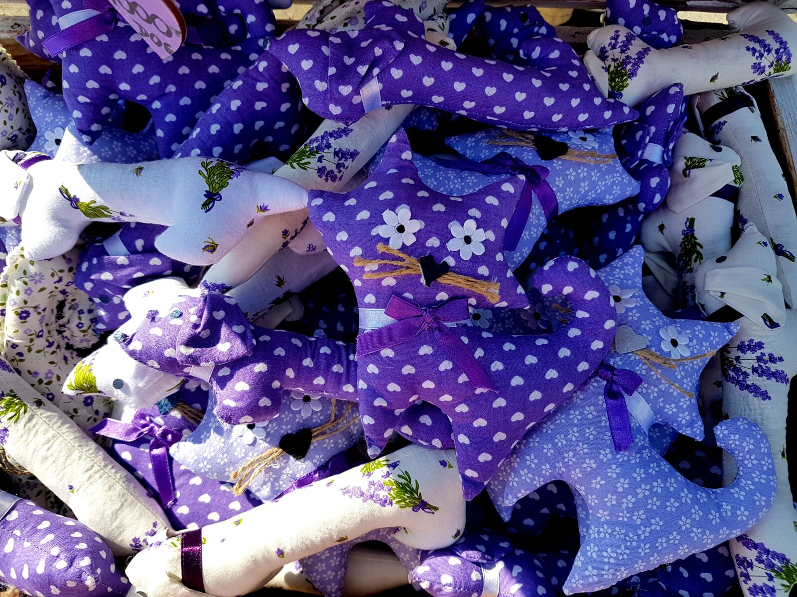 Samsung Galaxy S7 sample photo. Kitten, halloween, autumn photography