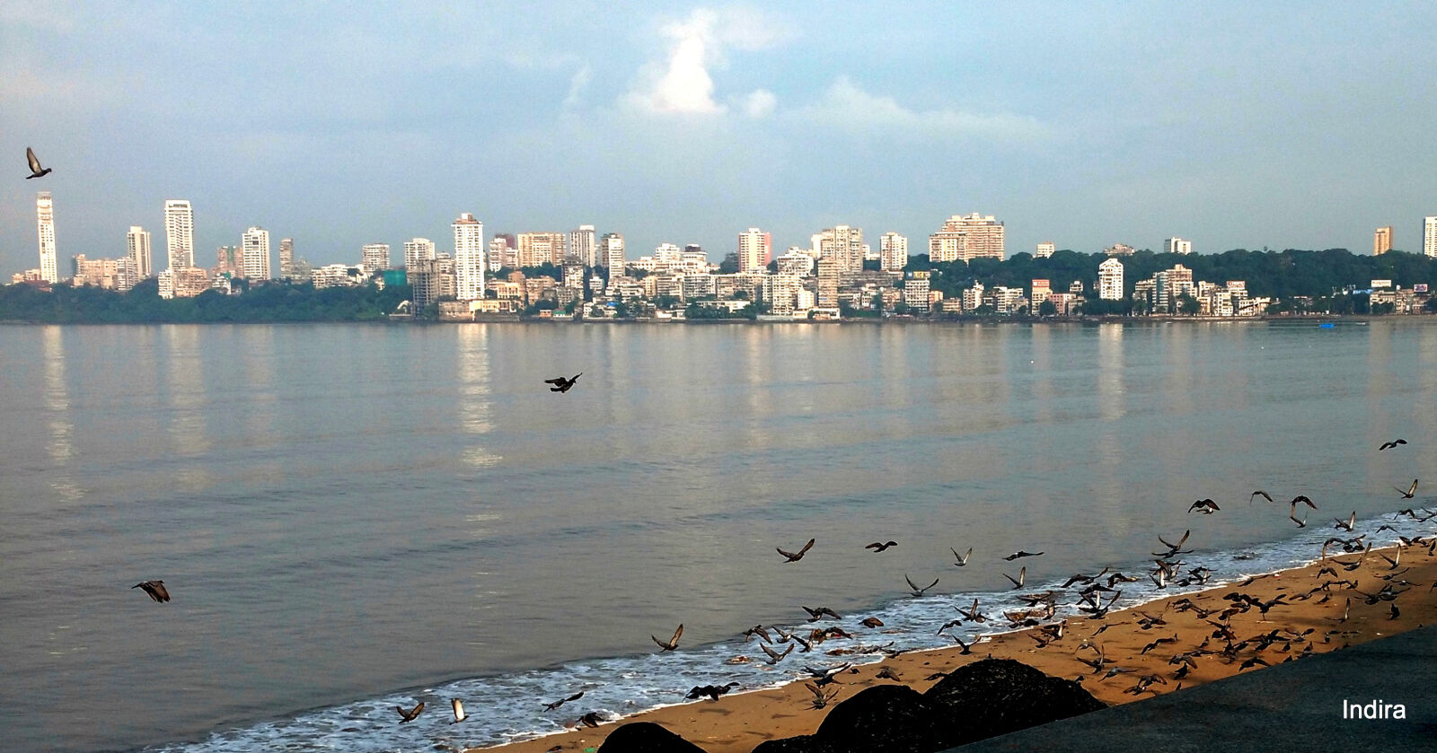 Motorola Moto X Play sample photo. Pigeons, reflections, panorama, early photography