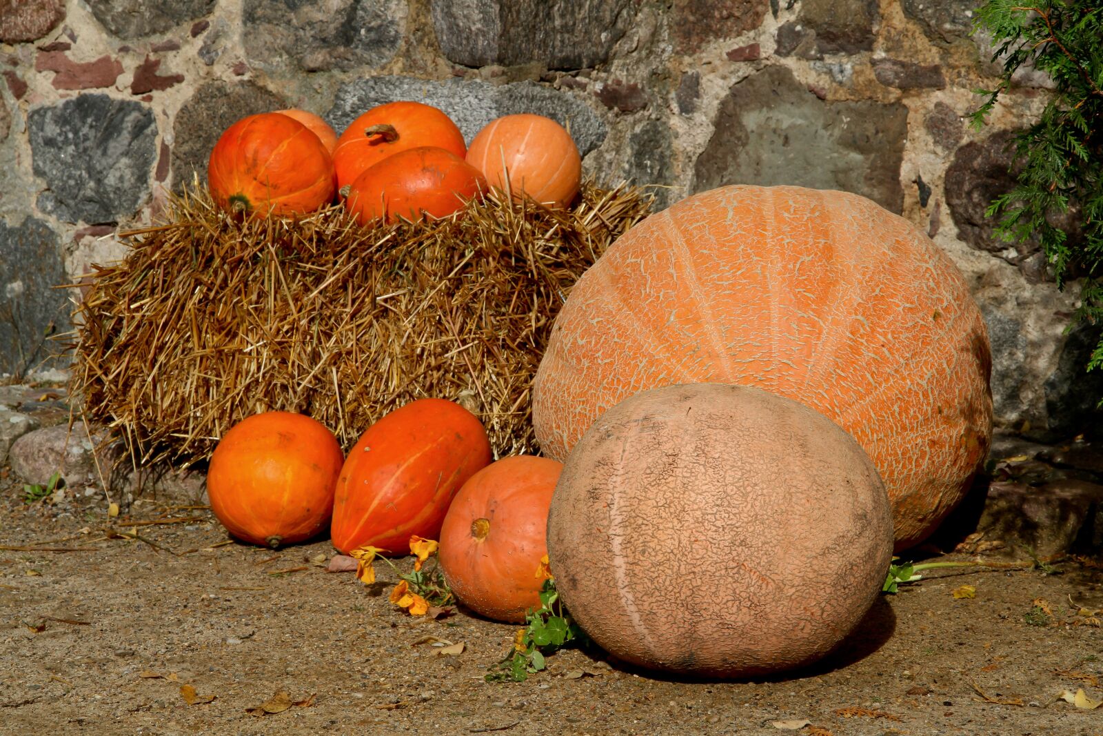 Canon EOS 7D sample photo. Autumn, autumn colours, autumn photography