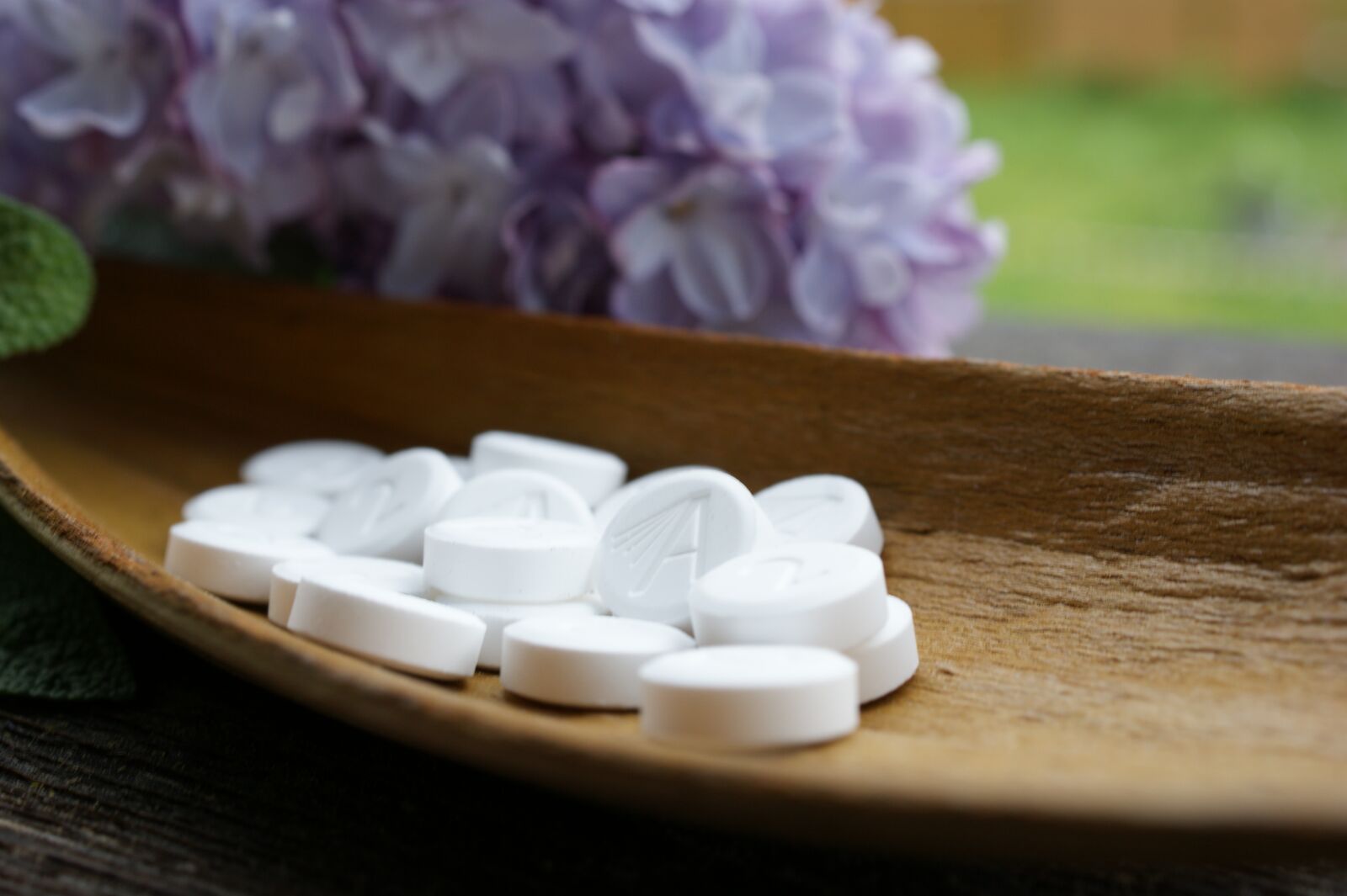Sony Alpha DSLR-A350 sample photo. Schuessler, minerals, alternative medicine photography