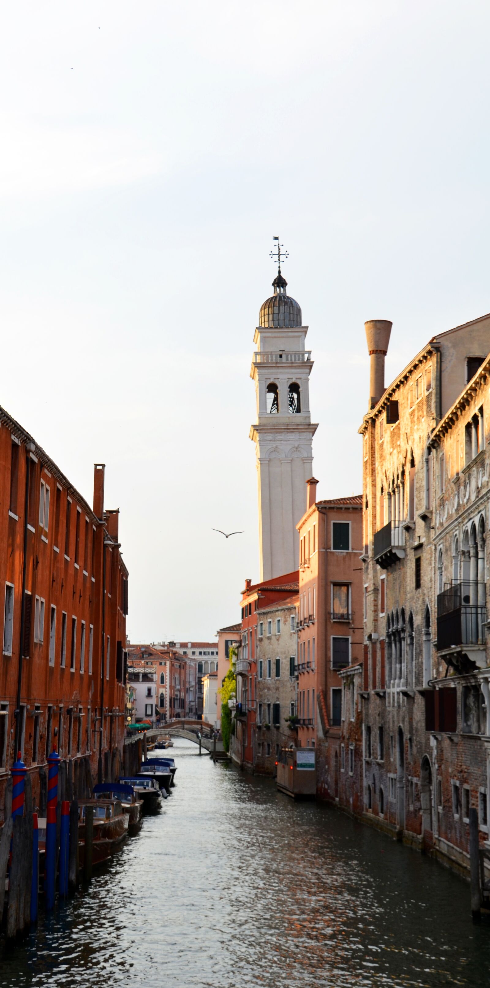 Nikon D7000 sample photo. Leaning tower, tower, venice photography