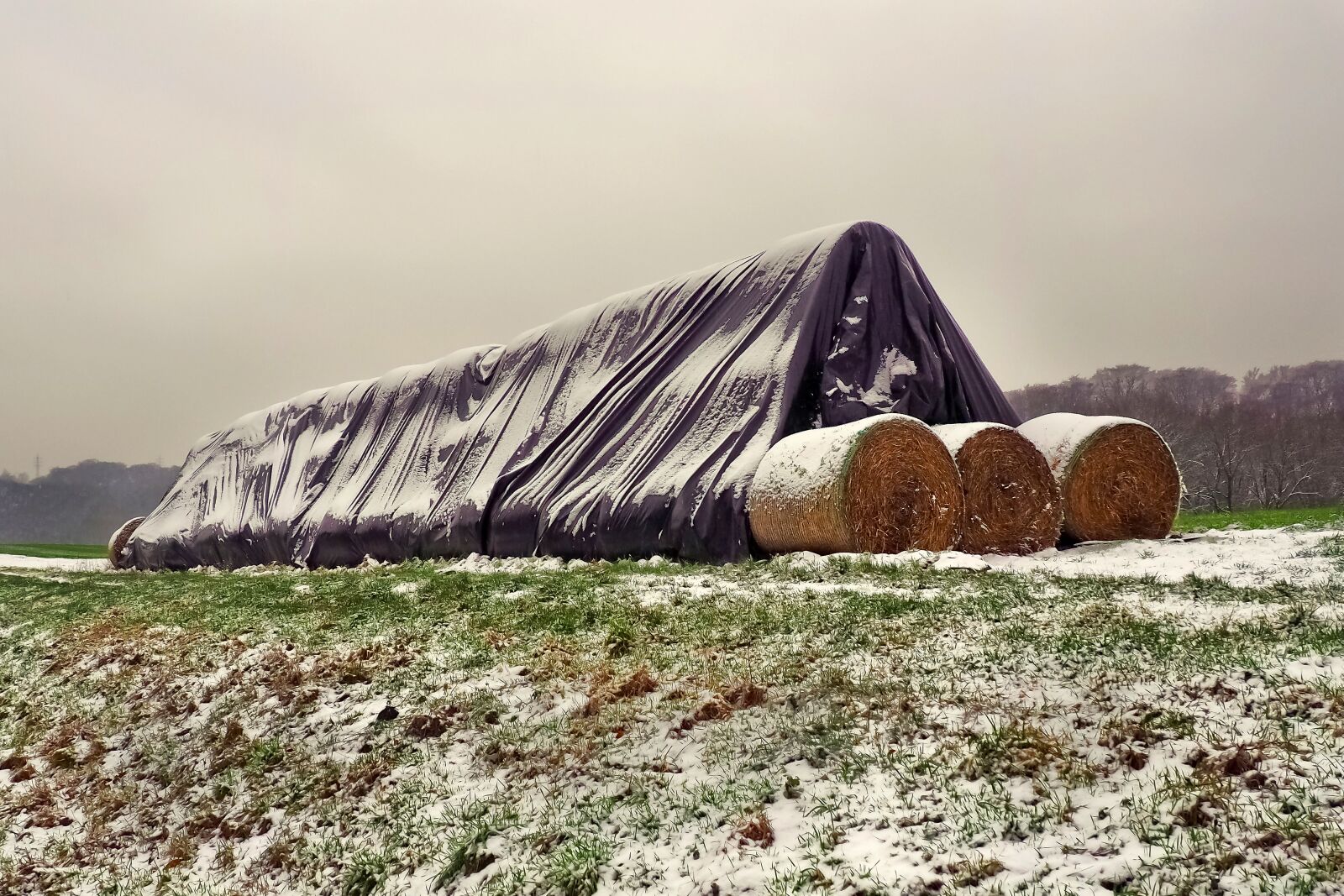 Olympus OM-D E-M10 sample photo. Straw, straw bales, agriculture photography