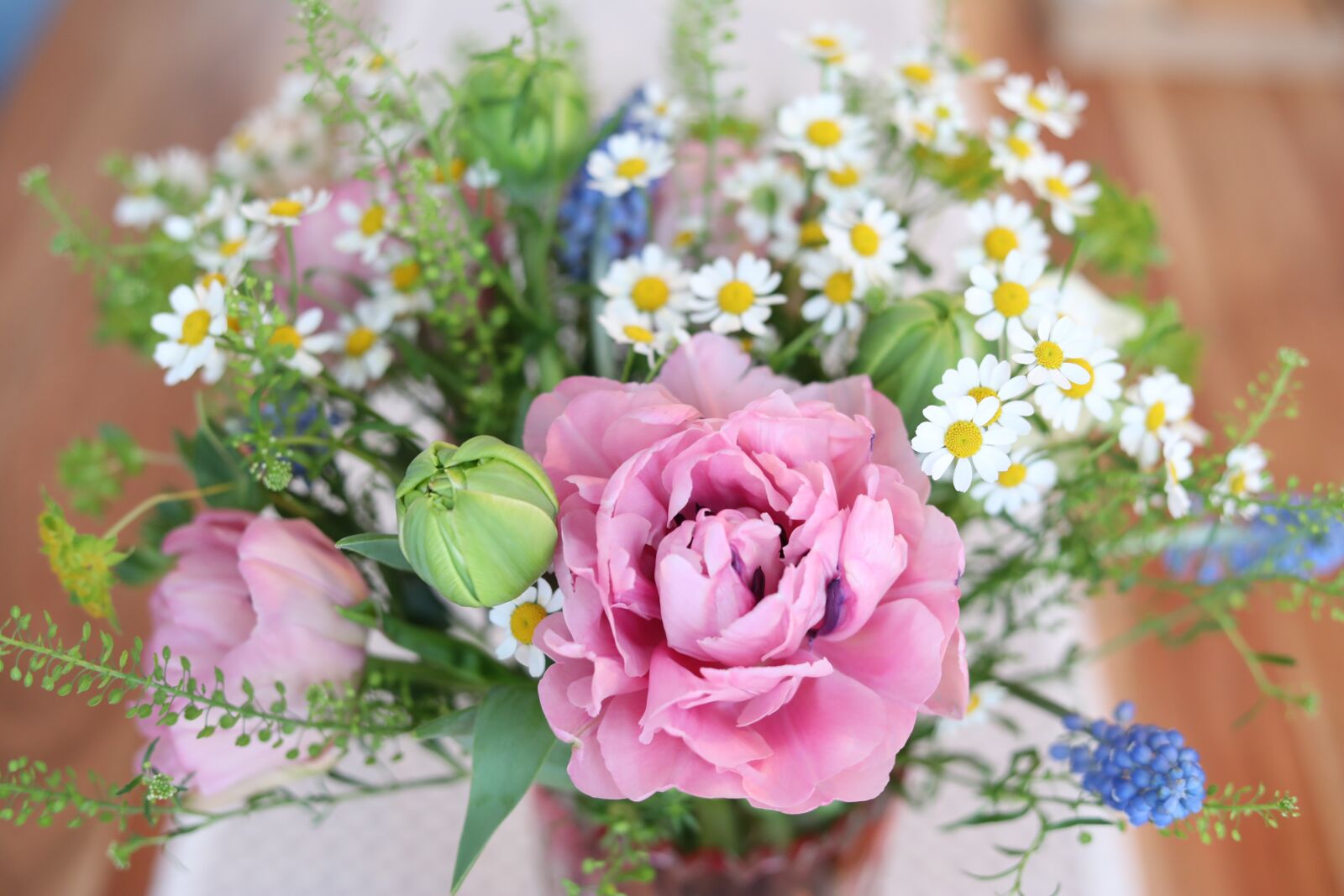 Canon EOS 5D Mark IV sample photo. Flowers, flower, nature photography