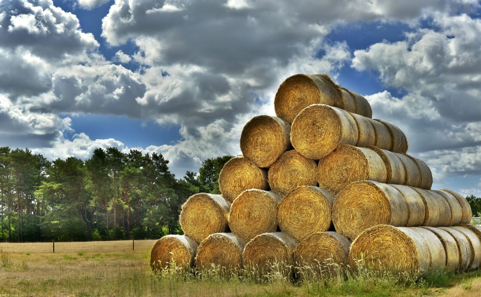 Nikon D5600 sample photo. Straw bales, straw rent photography