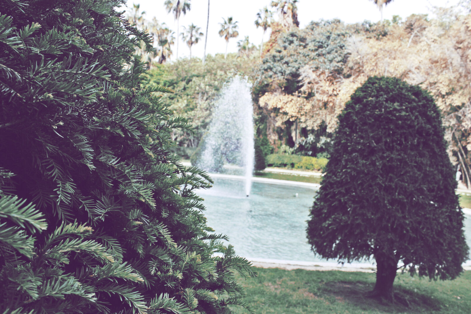 Canon EOS 600D (Rebel EOS T3i / EOS Kiss X5) sample photo. Day, fountain, grass, mid photography