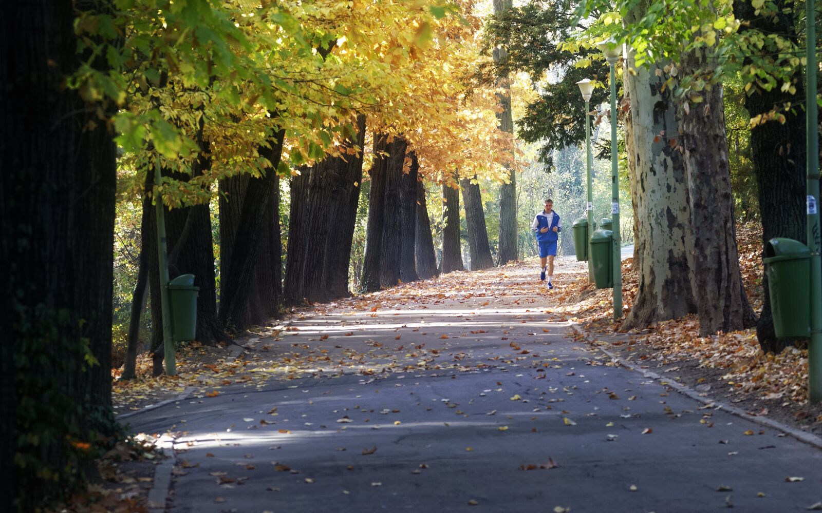 Nikon D5300 sample photo. Landscape, park, autumn photography
