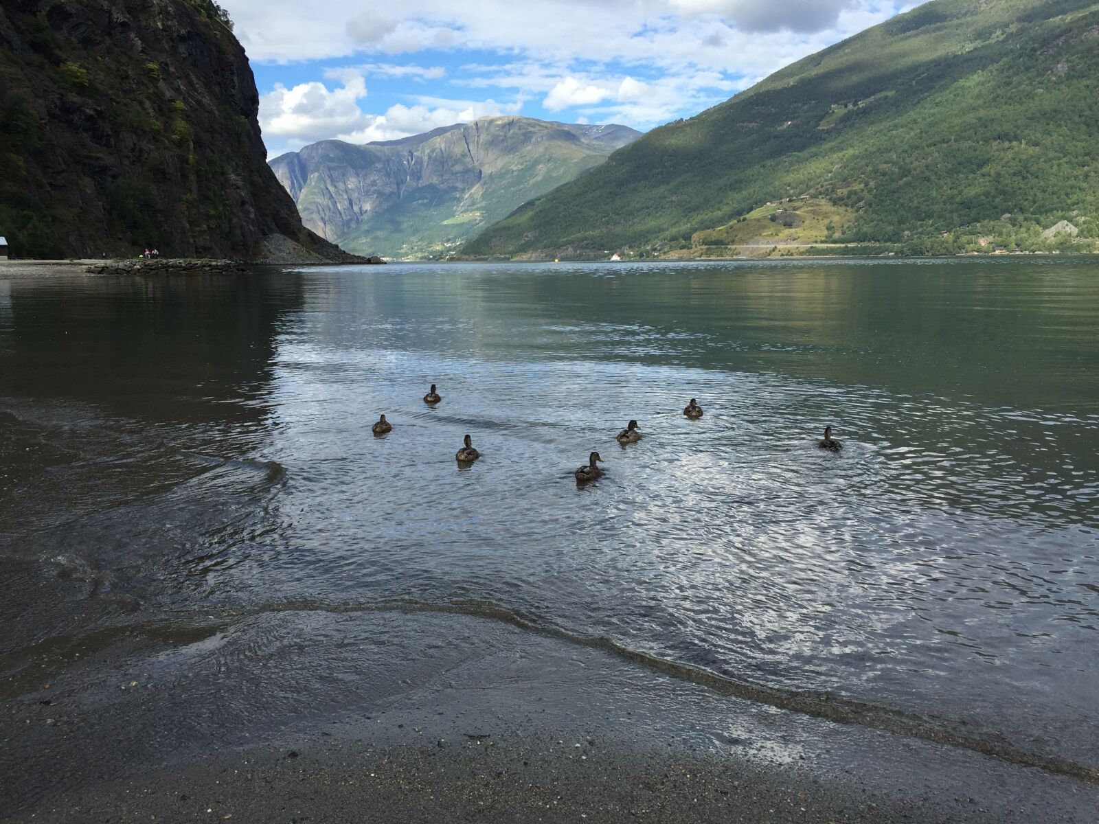 Apple iPhone 6 sample photo. Fjord, flam, norway photography