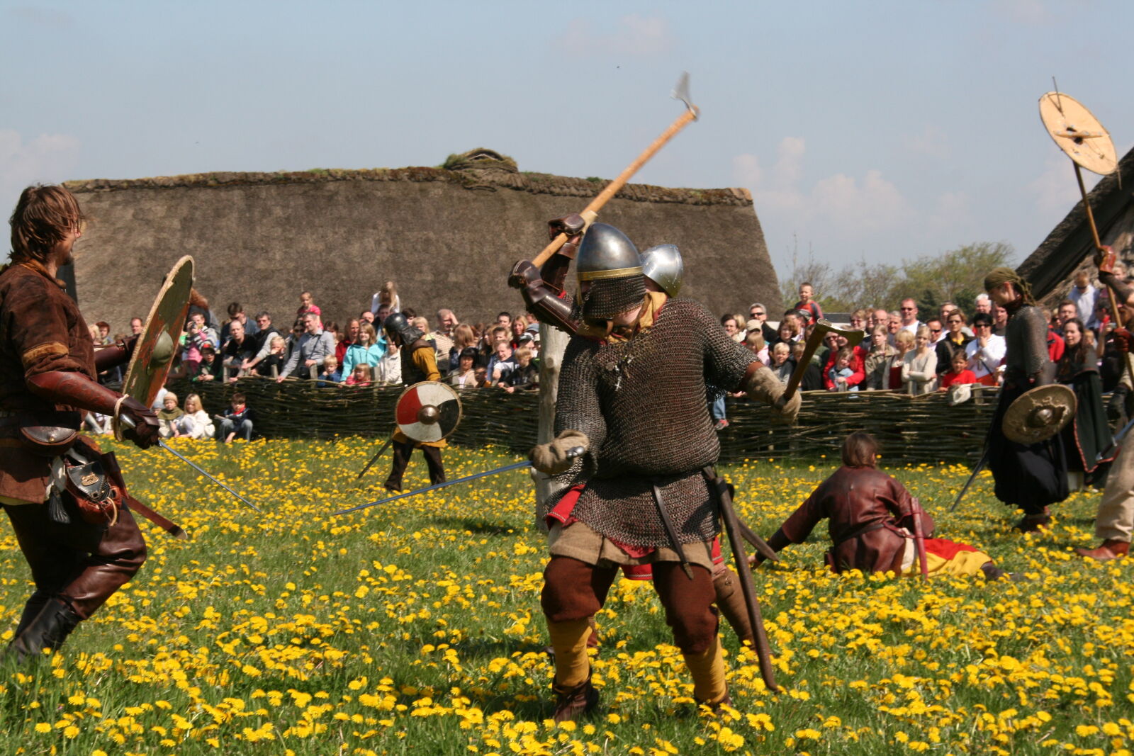 Sigma 18-200mm f/3.5-6.3 DC OS sample photo. Vikings photography
